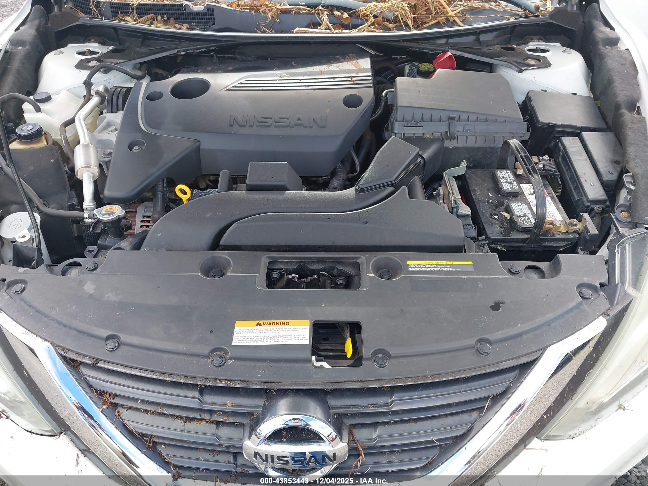 NISSAN ALTIMA image 10