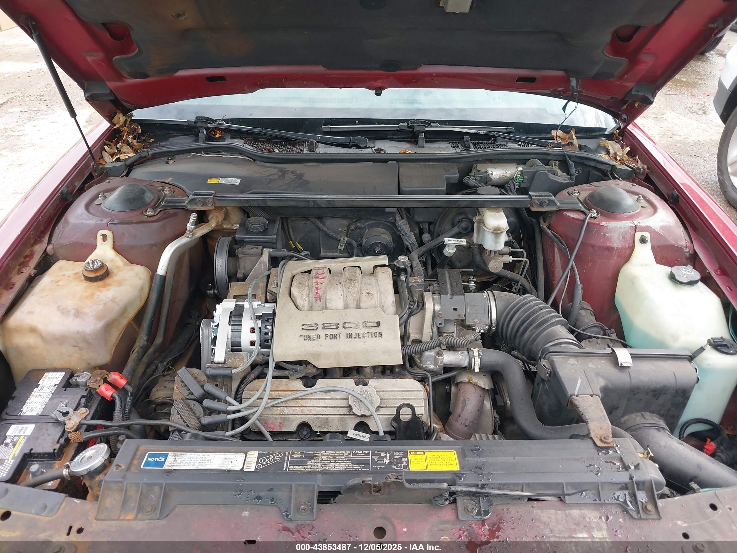BUICK PARK image 10