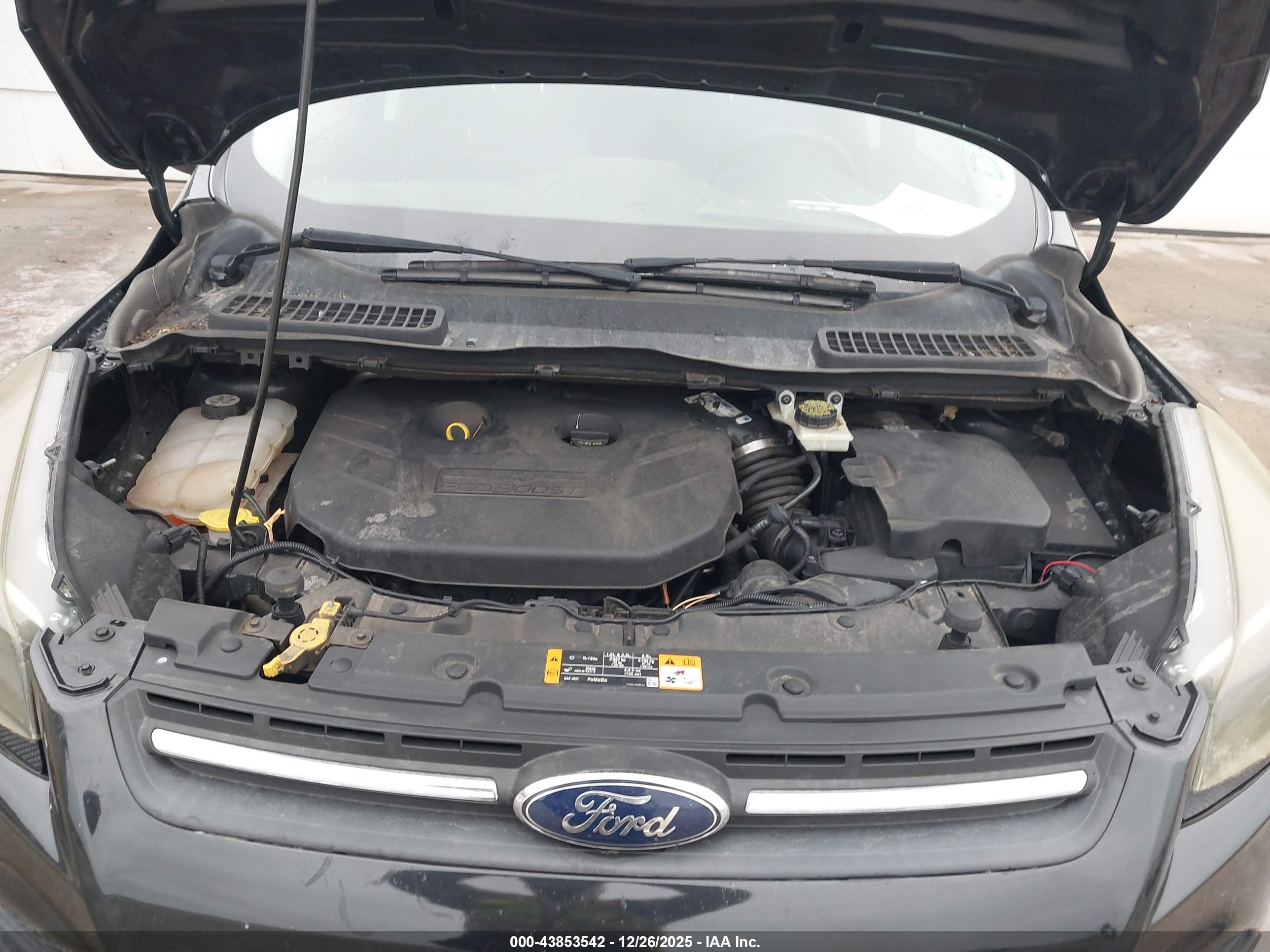FORD ESCAPE image 10