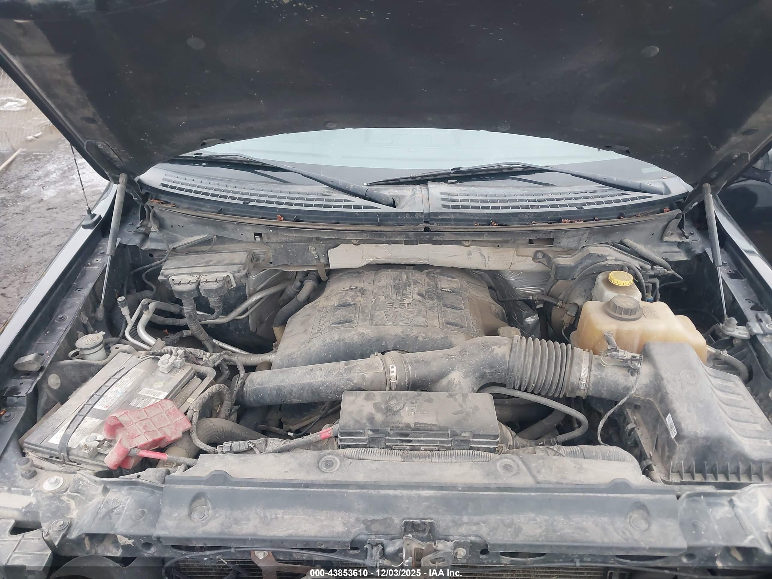 FORD F-150 image 10