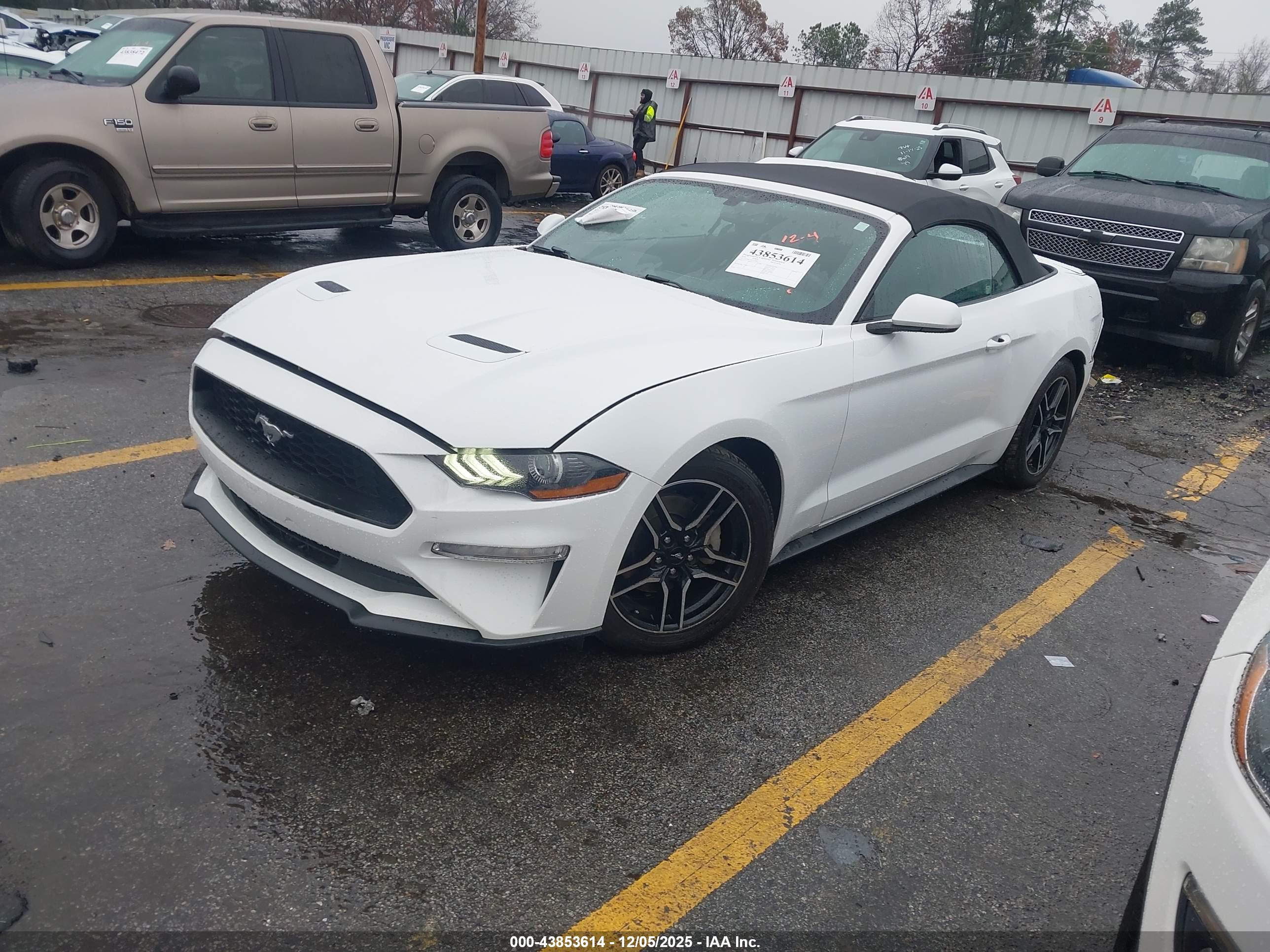 FORD MUSTANG image 2