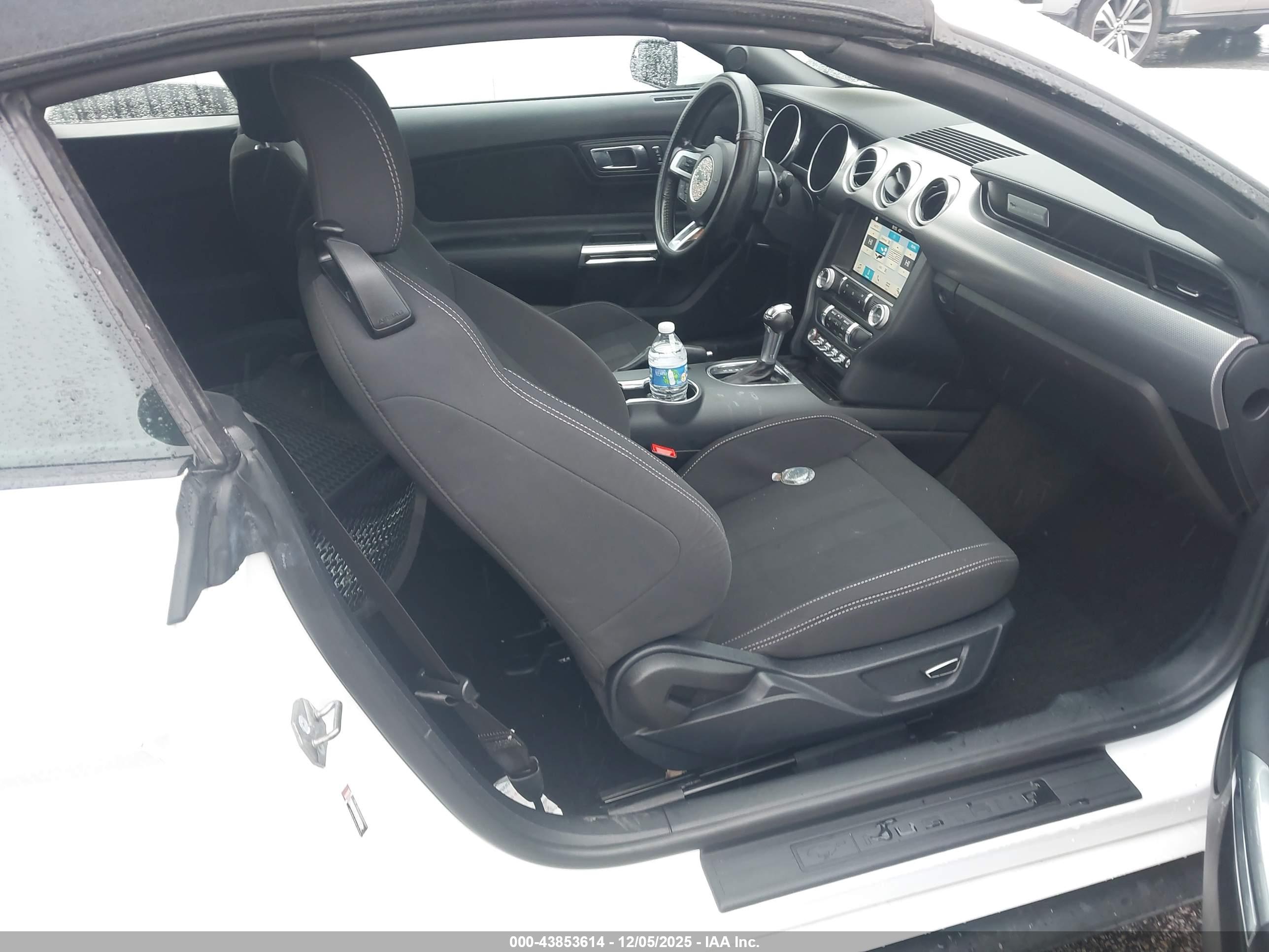 FORD MUSTANG image 5