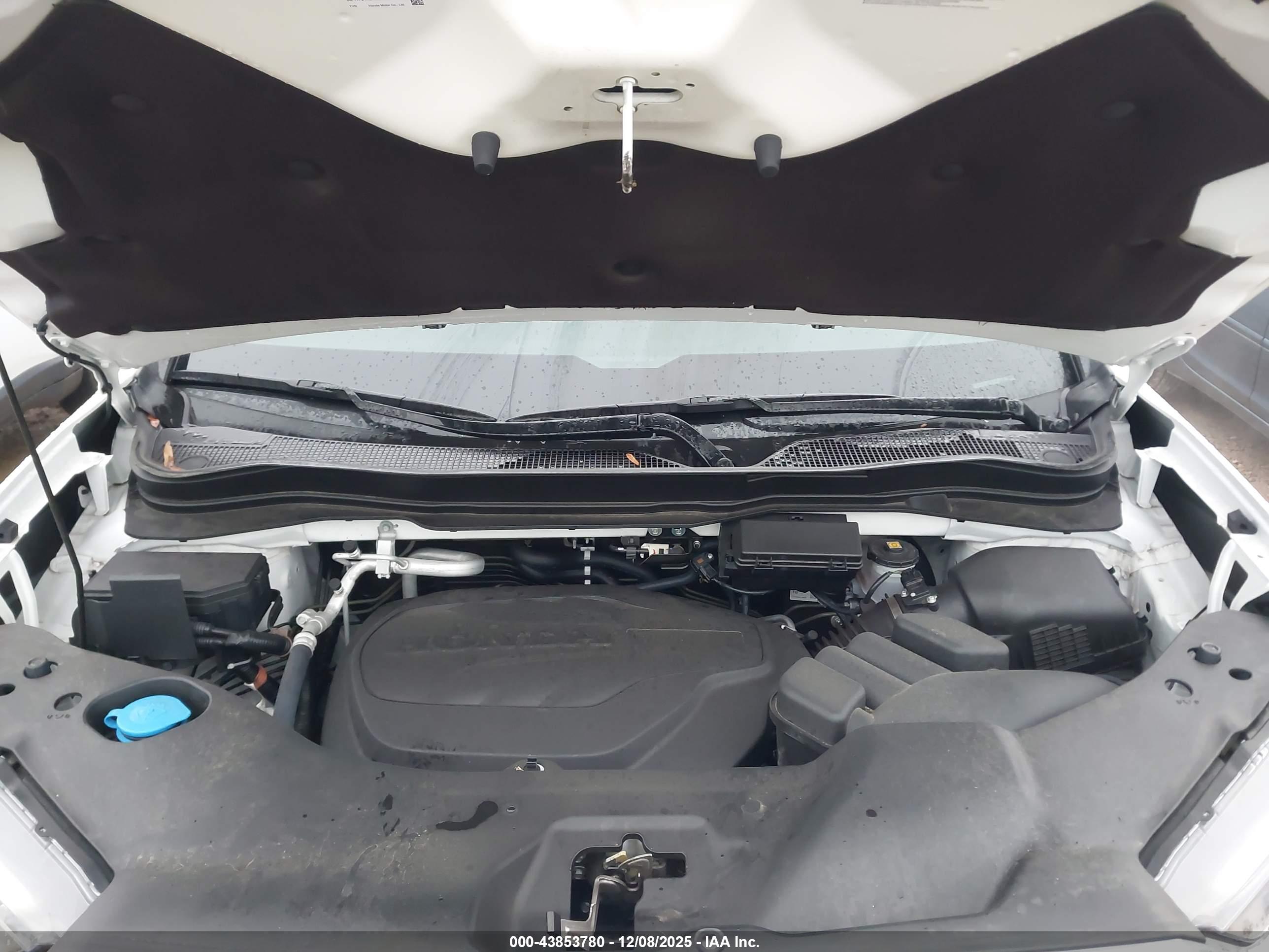 HONDA PASSPORT image 10