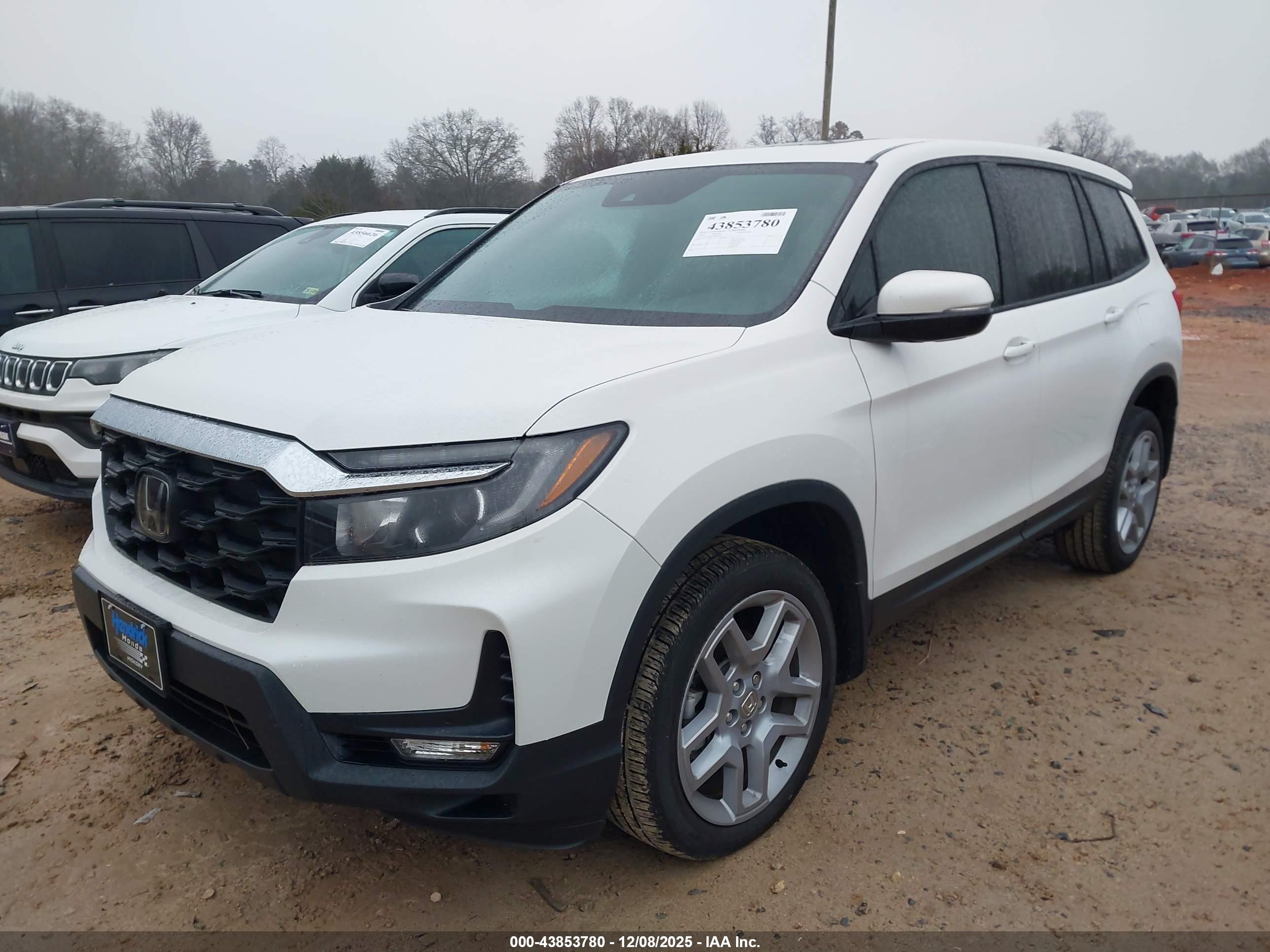 HONDA PASSPORT image 2