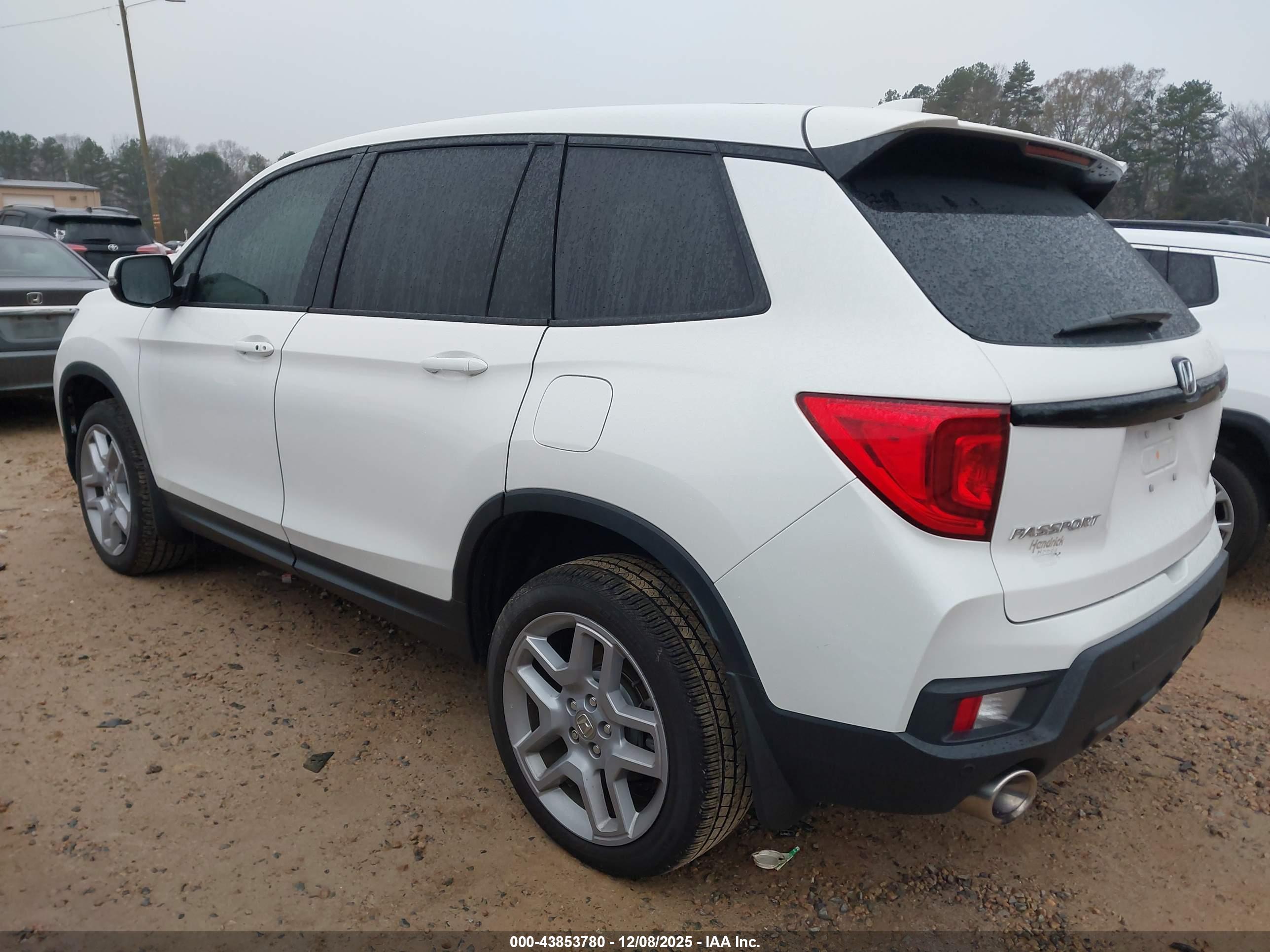 HONDA PASSPORT image 3