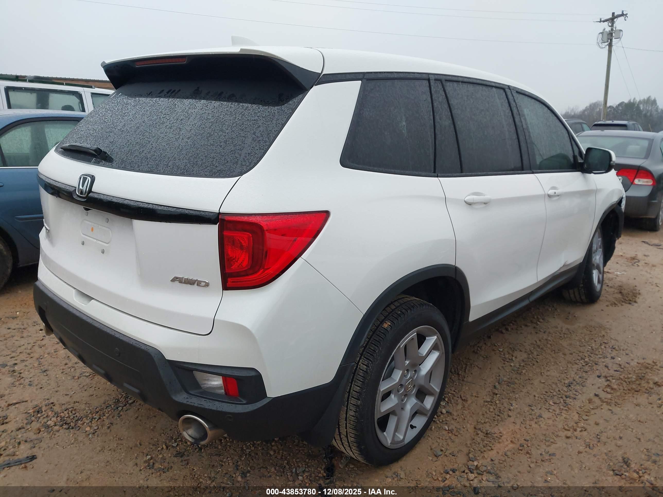 HONDA PASSPORT image 4