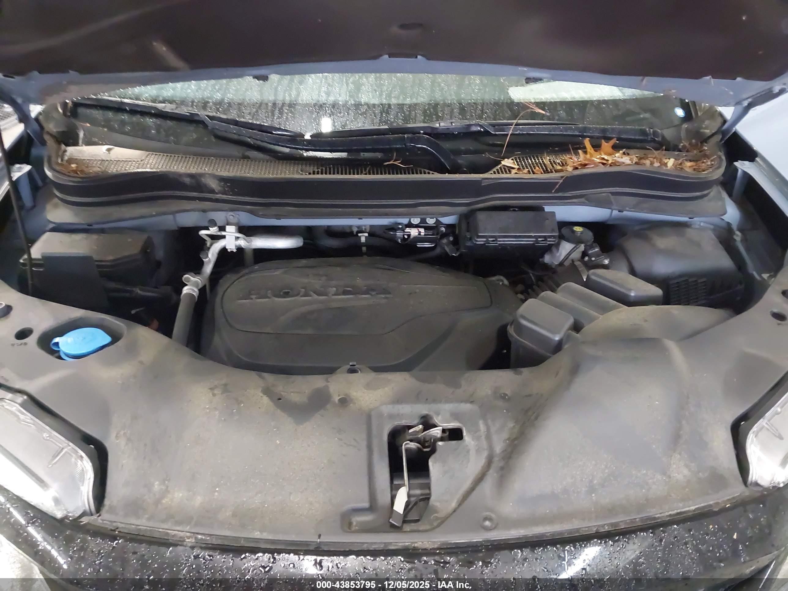 HONDA PILOT image 10