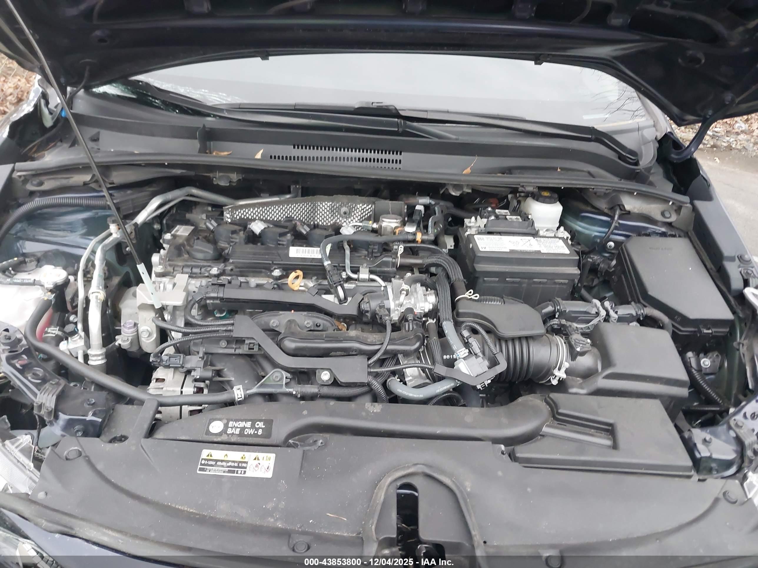 TOYOTA COROLLA image 10