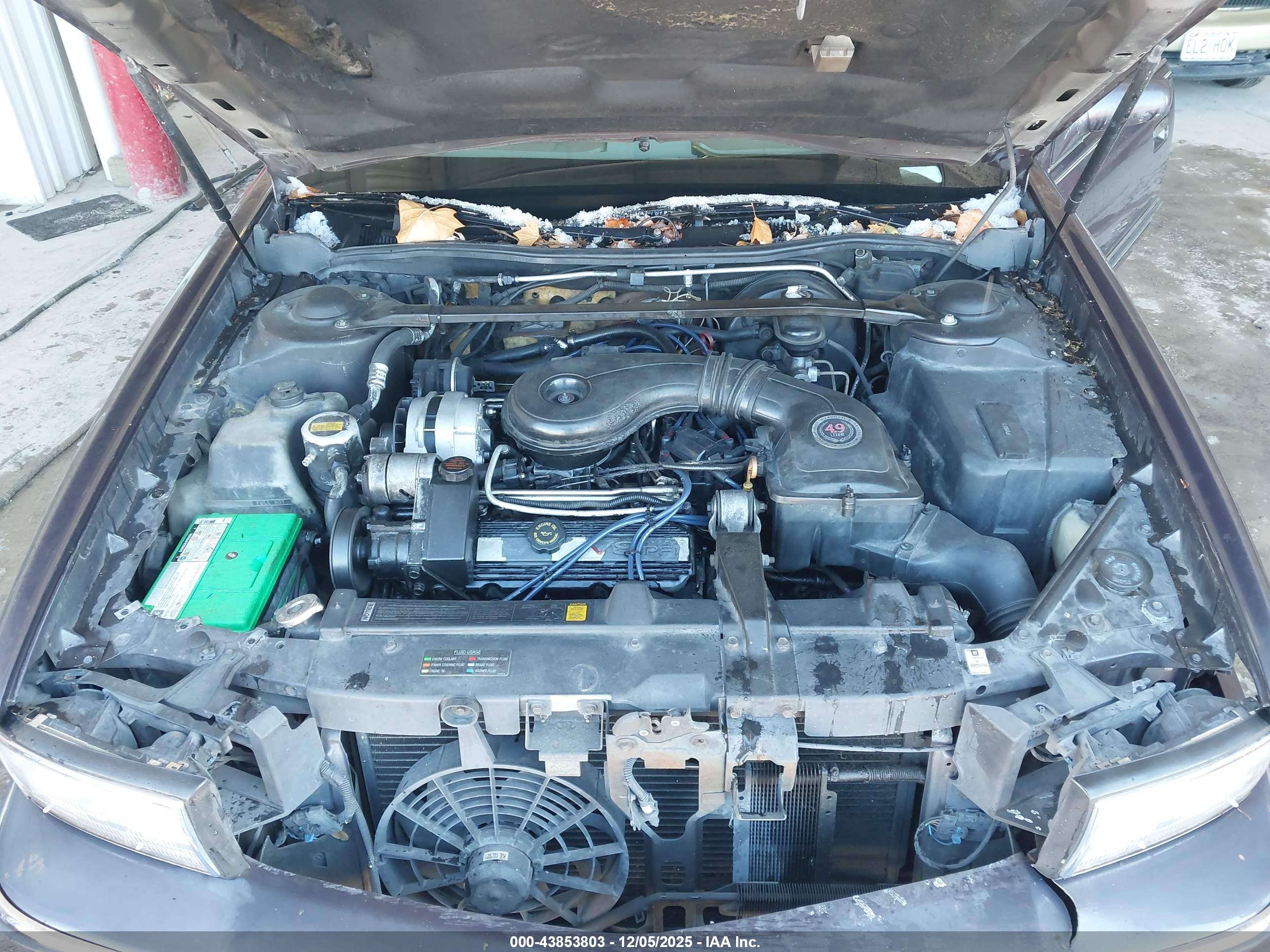 CADILLAC DEVILLE image 10