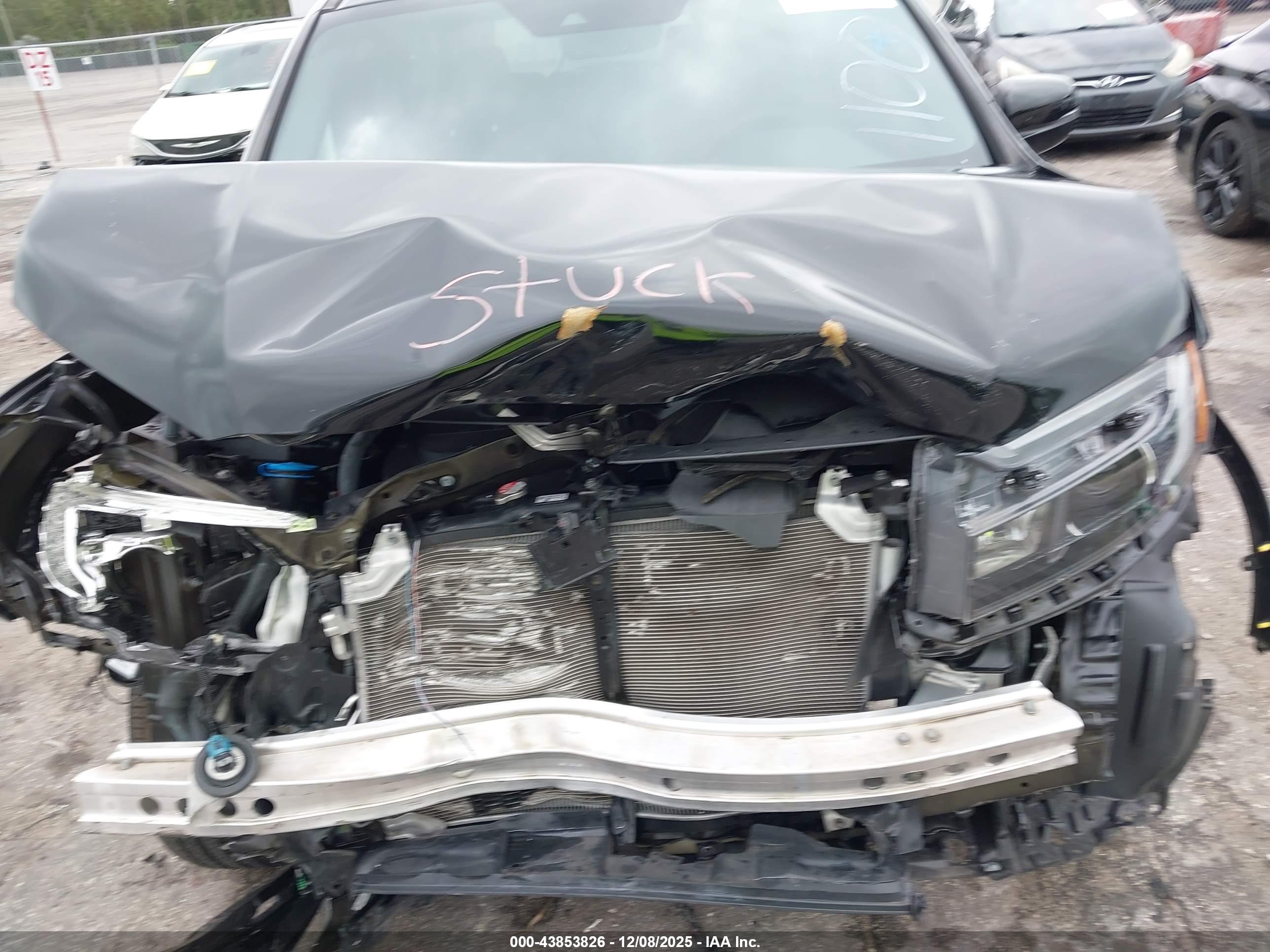 HONDA PASSPORT image 10