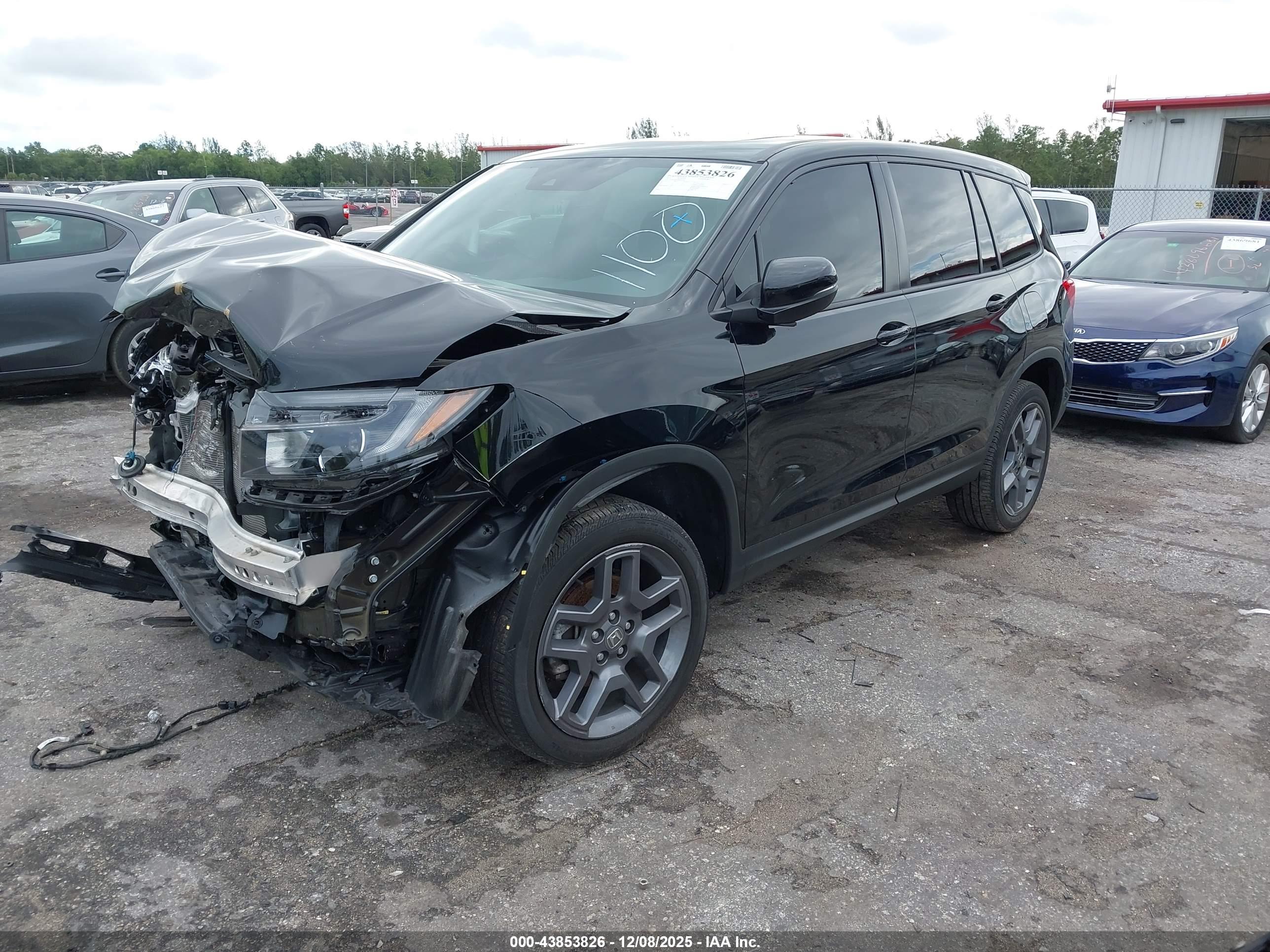 HONDA PASSPORT image 2