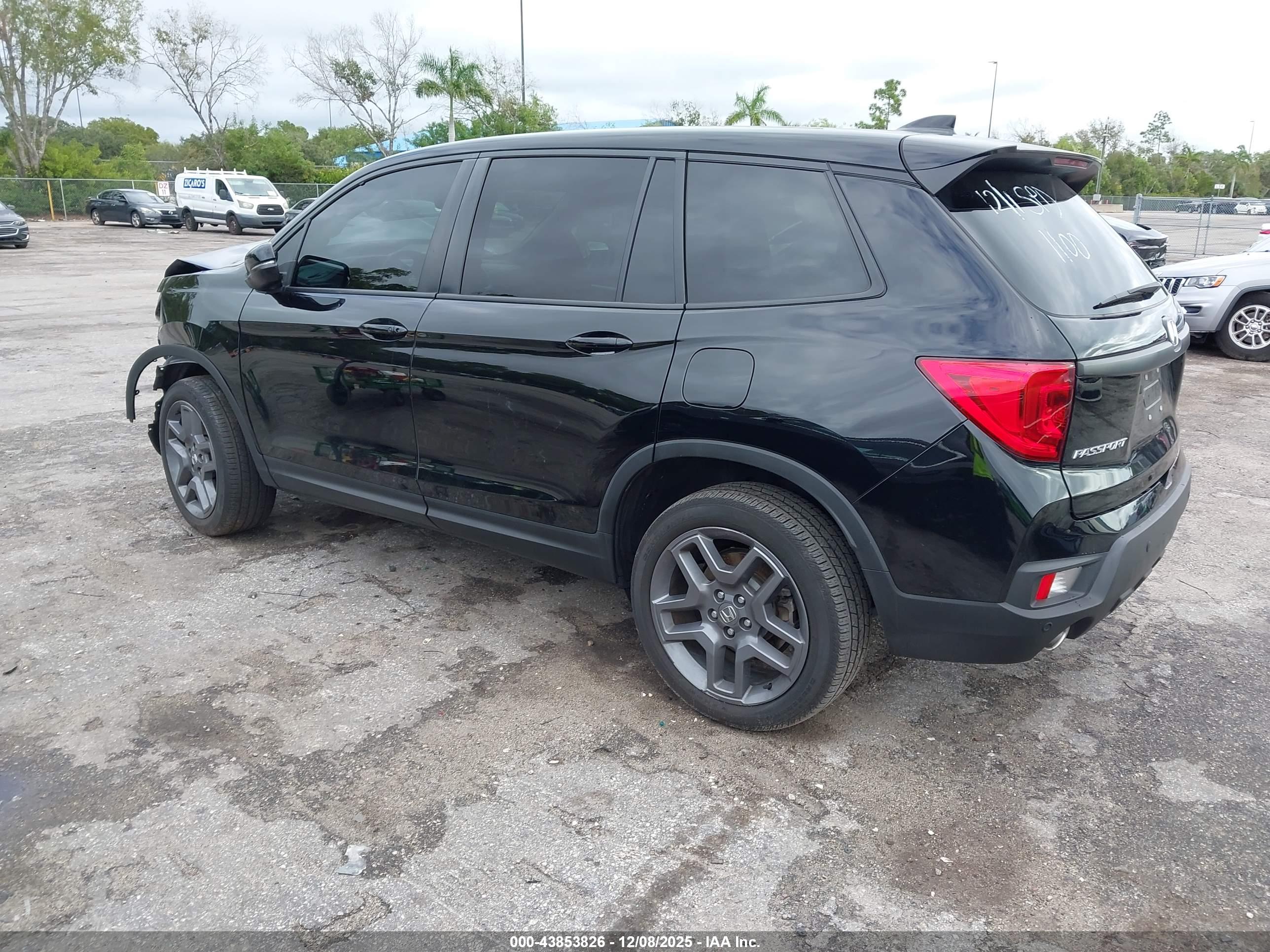 HONDA PASSPORT image 3