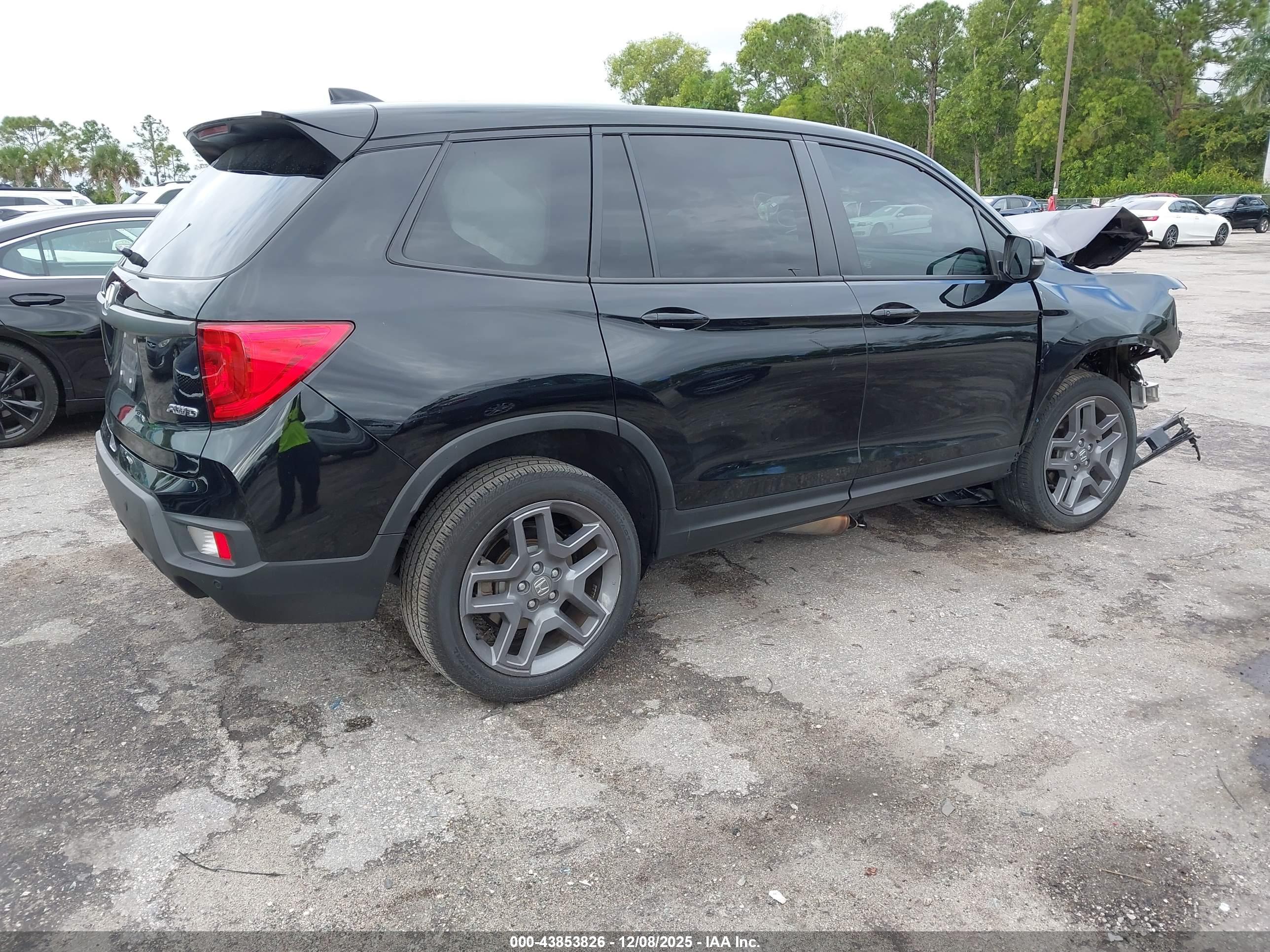 HONDA PASSPORT image 4