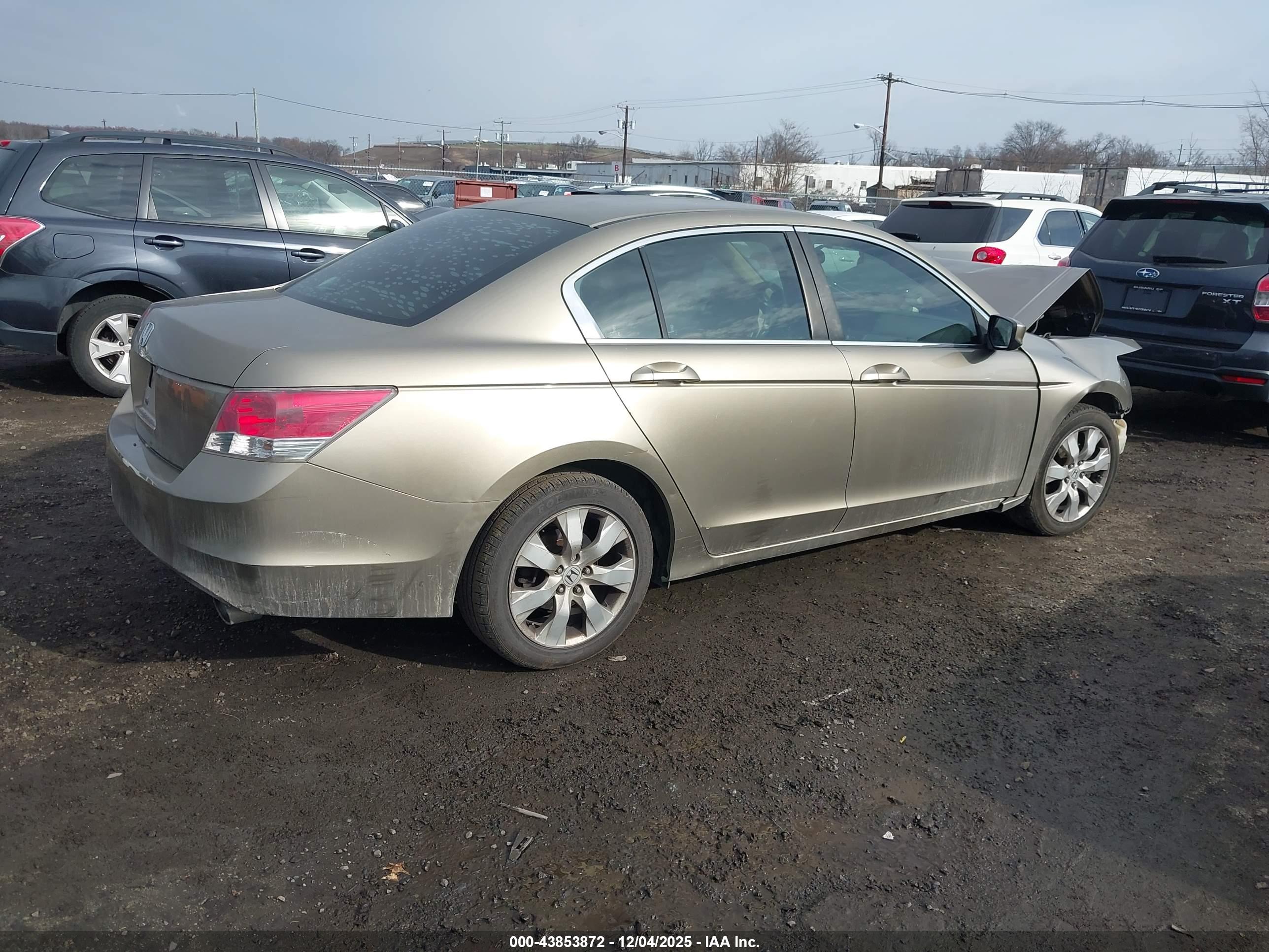 HONDA ACCORD image 4
