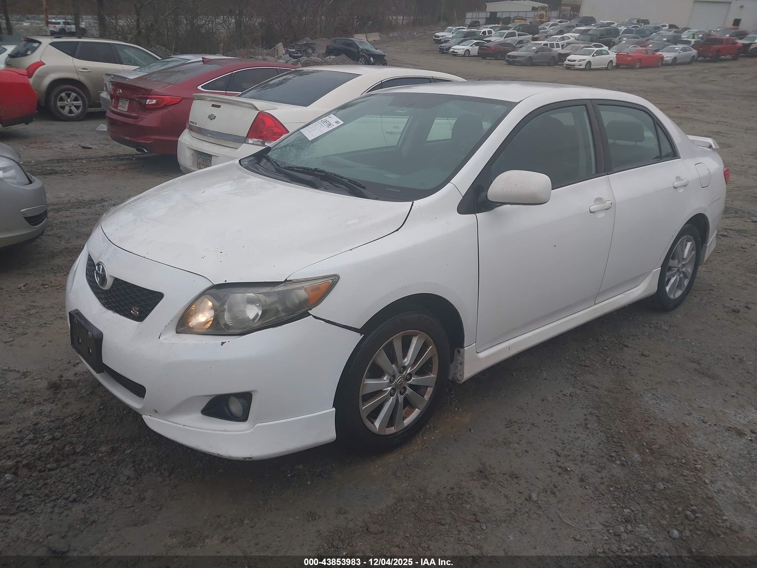 TOYOTA COROLLA image 2
