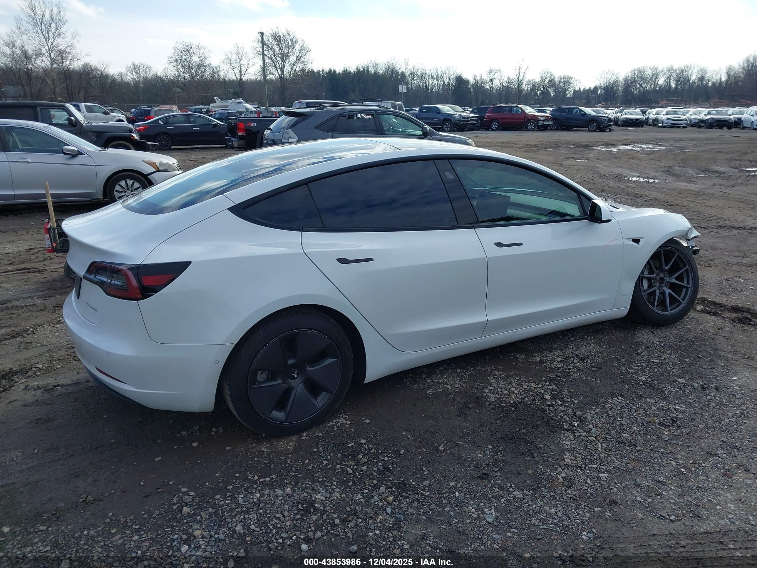 TESLA MODEL image 4