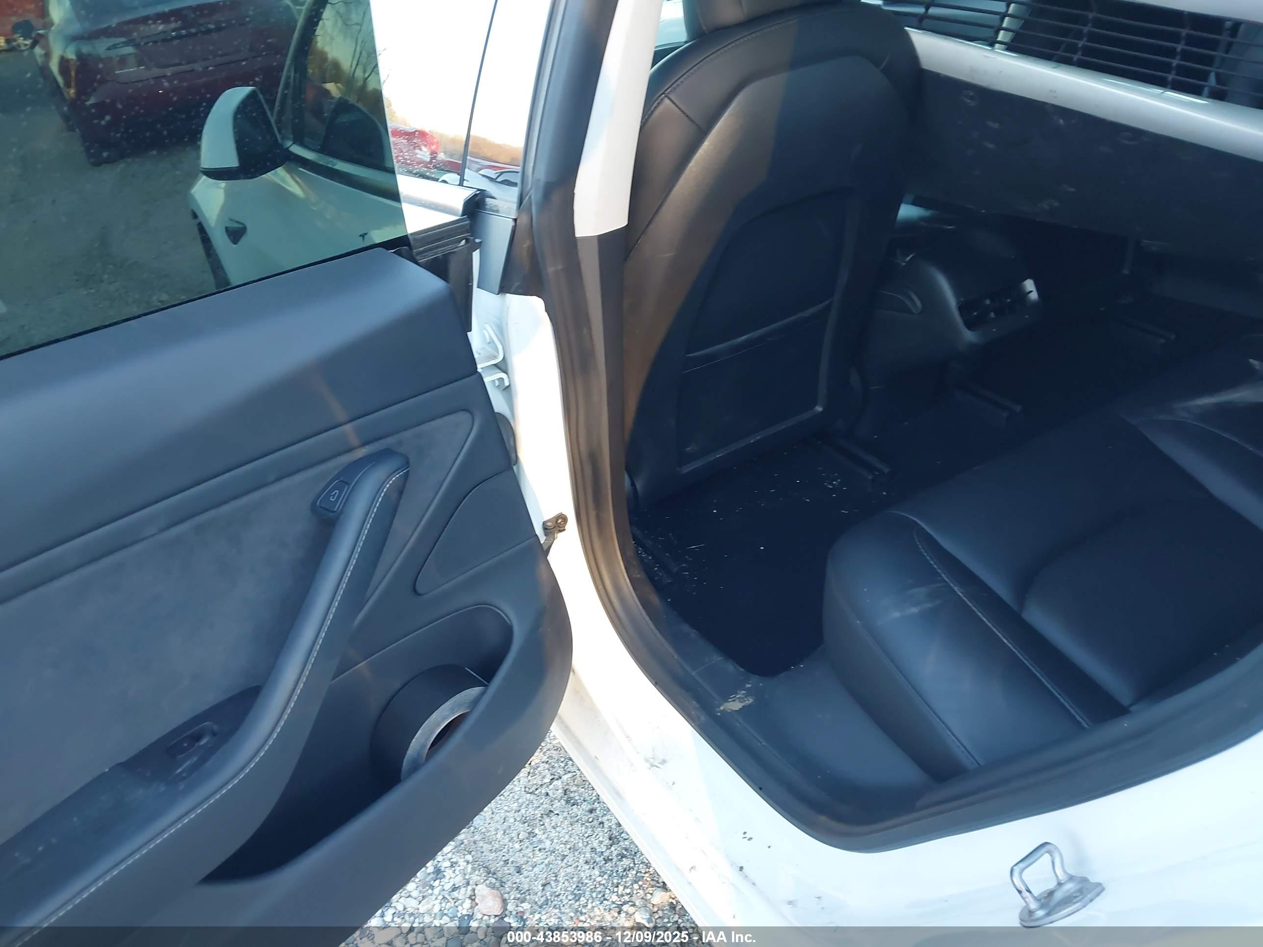 TESLA MODEL image 8