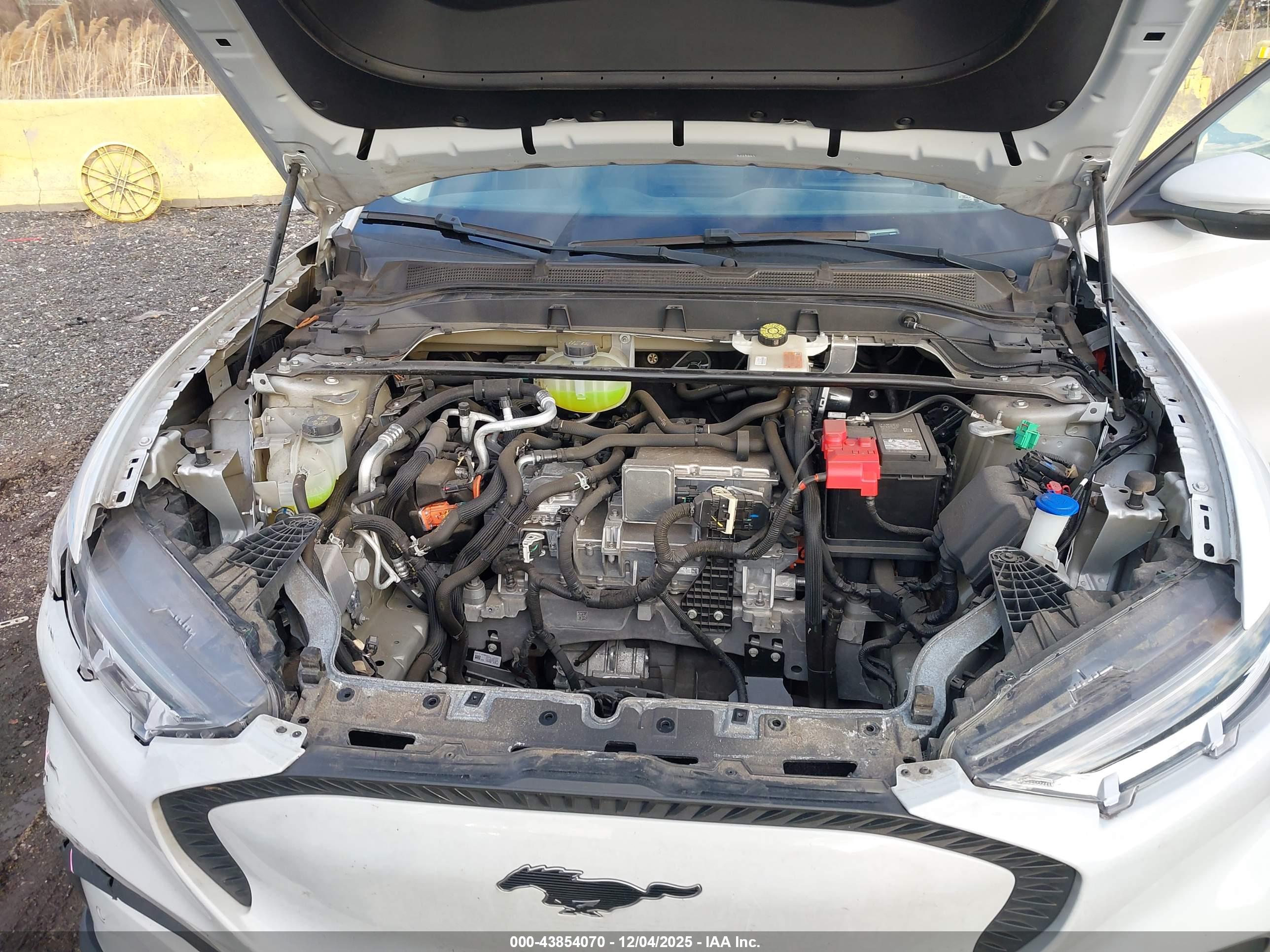 FORD MUSTANG image 10