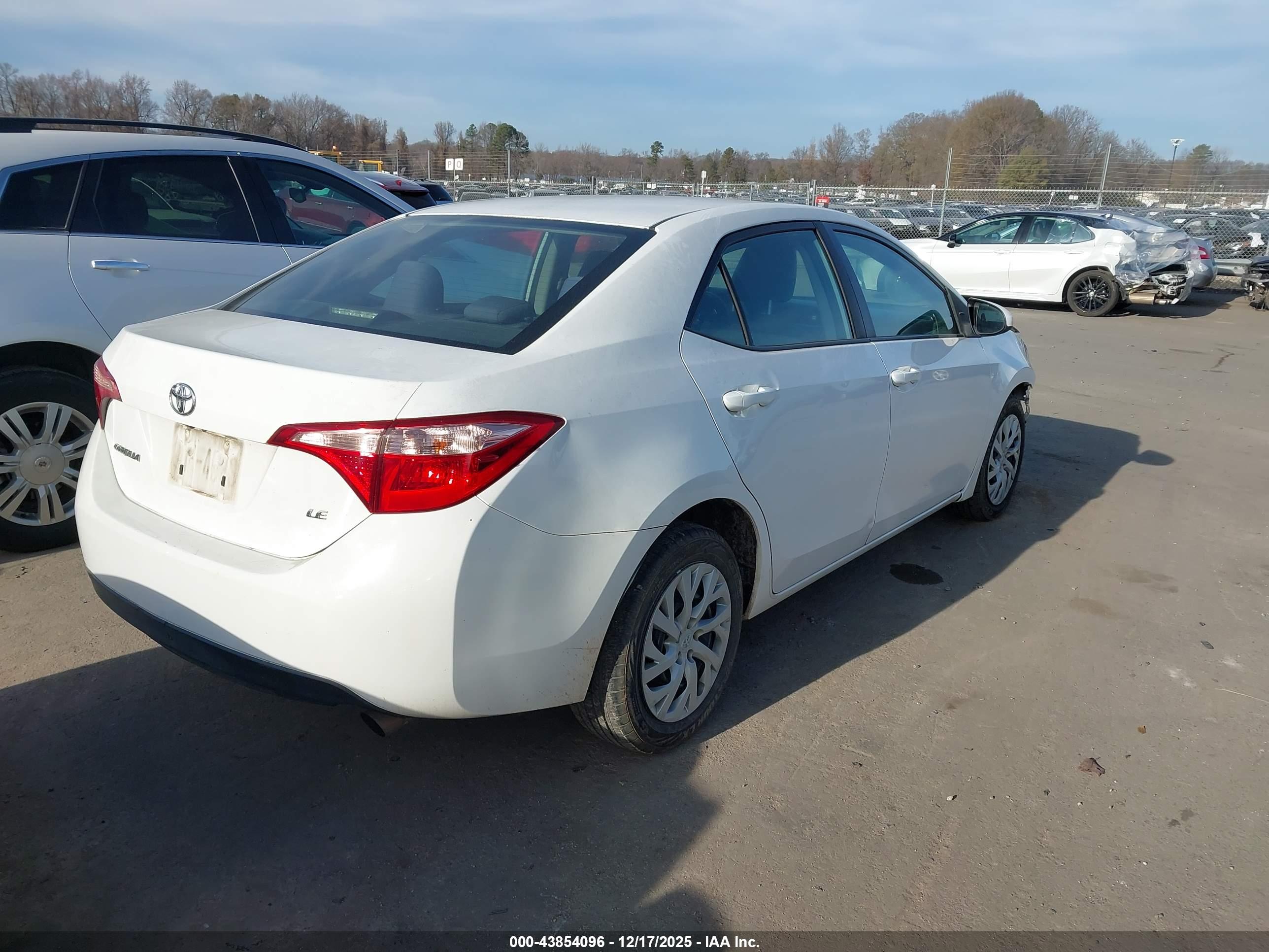 TOYOTA COROLLA image 4