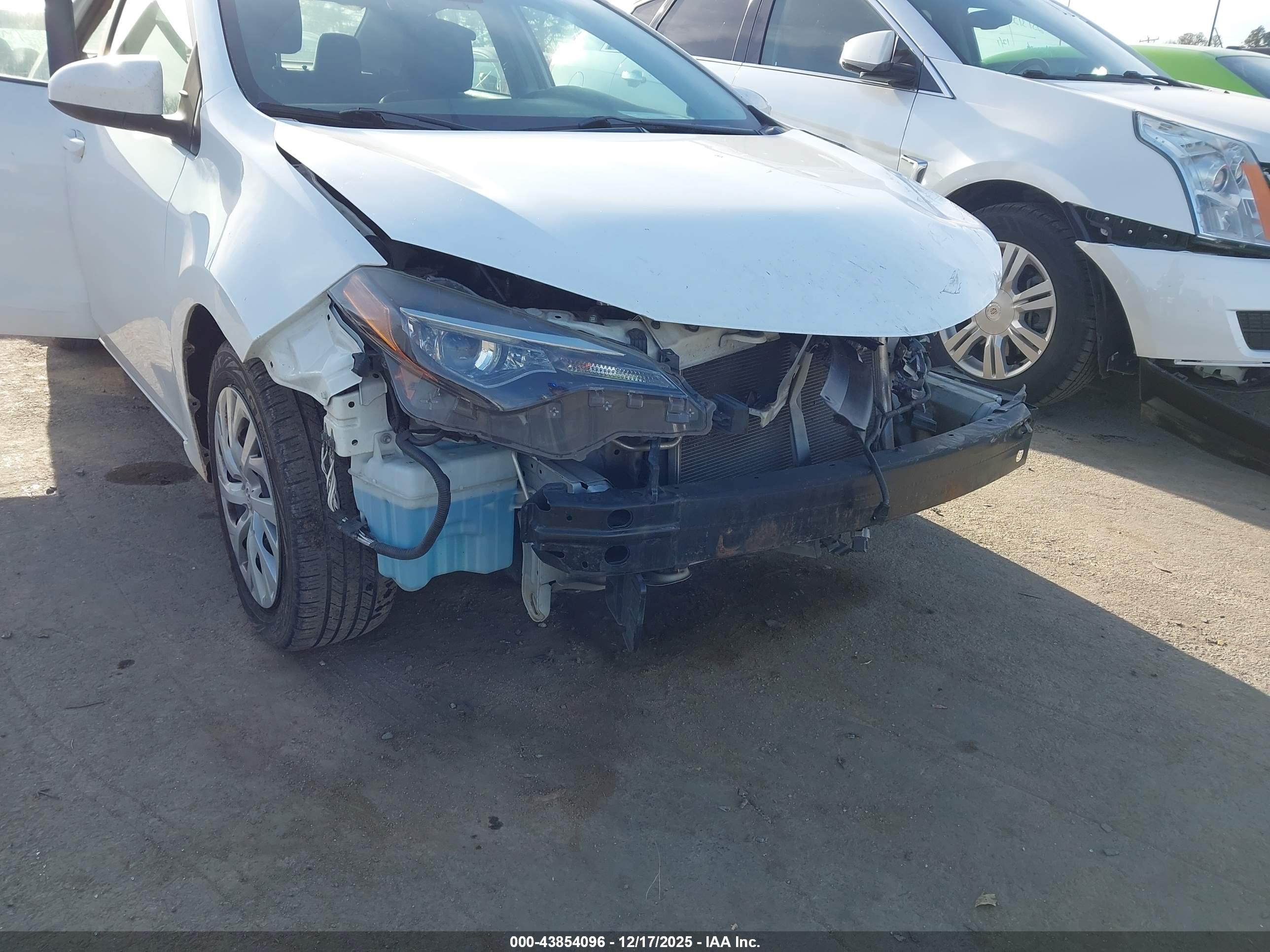 TOYOTA COROLLA image 6