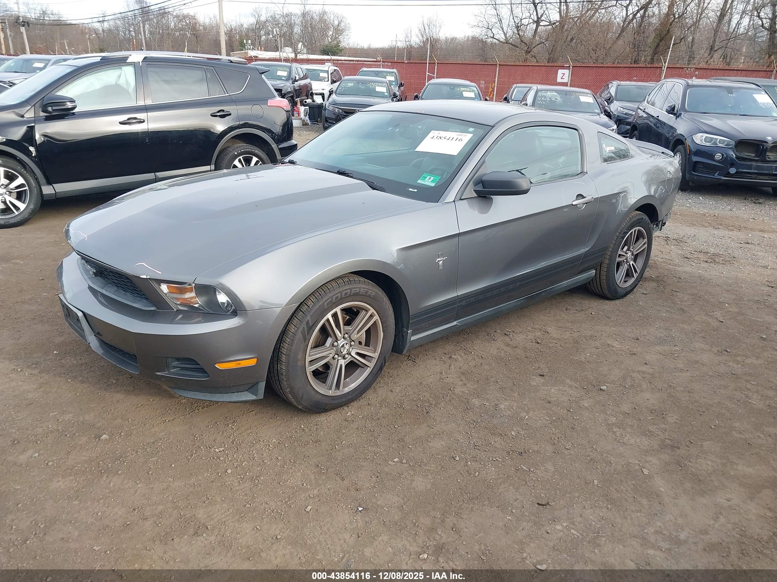 FORD MUSTANG image 2