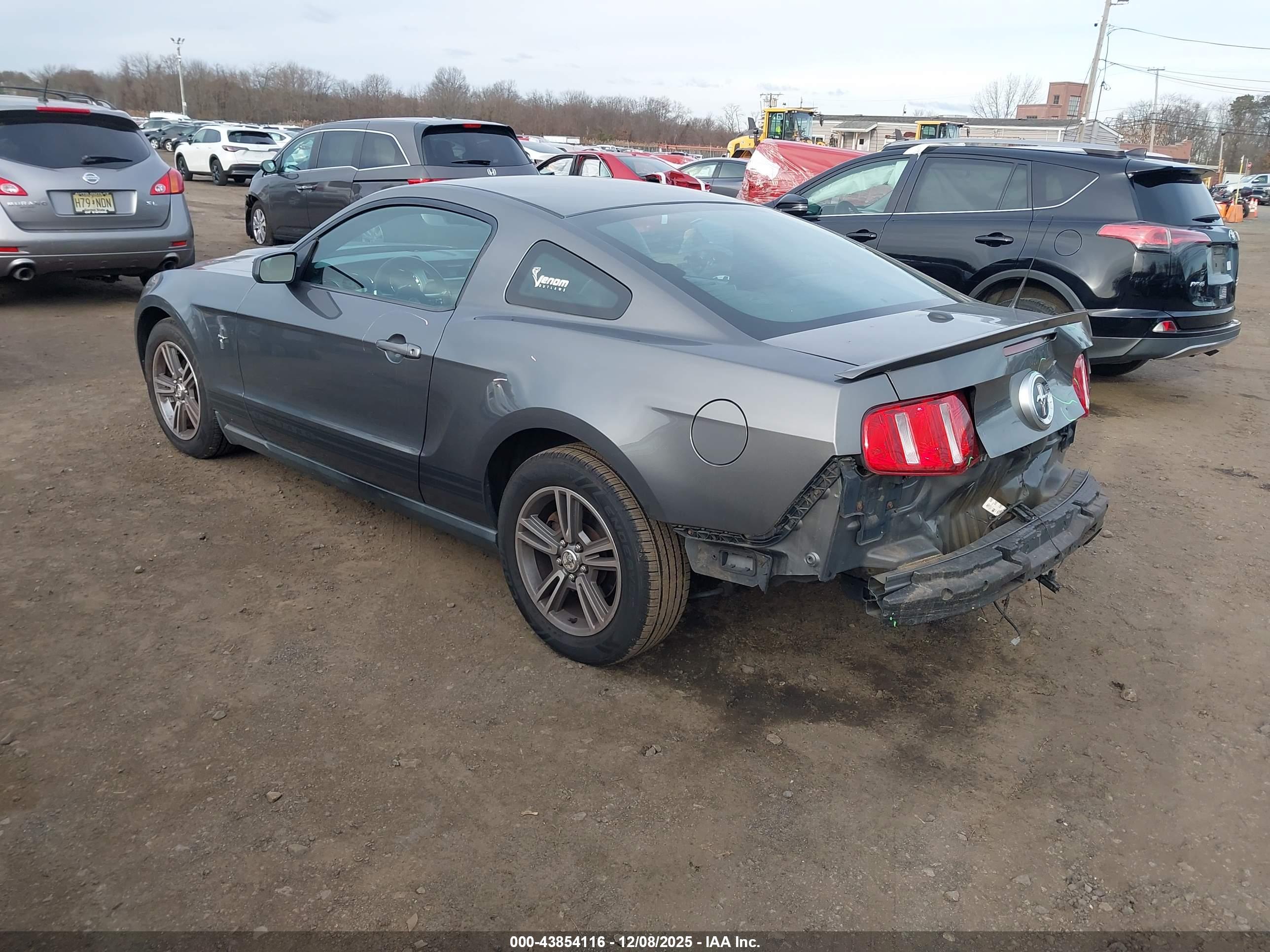 FORD MUSTANG image 3