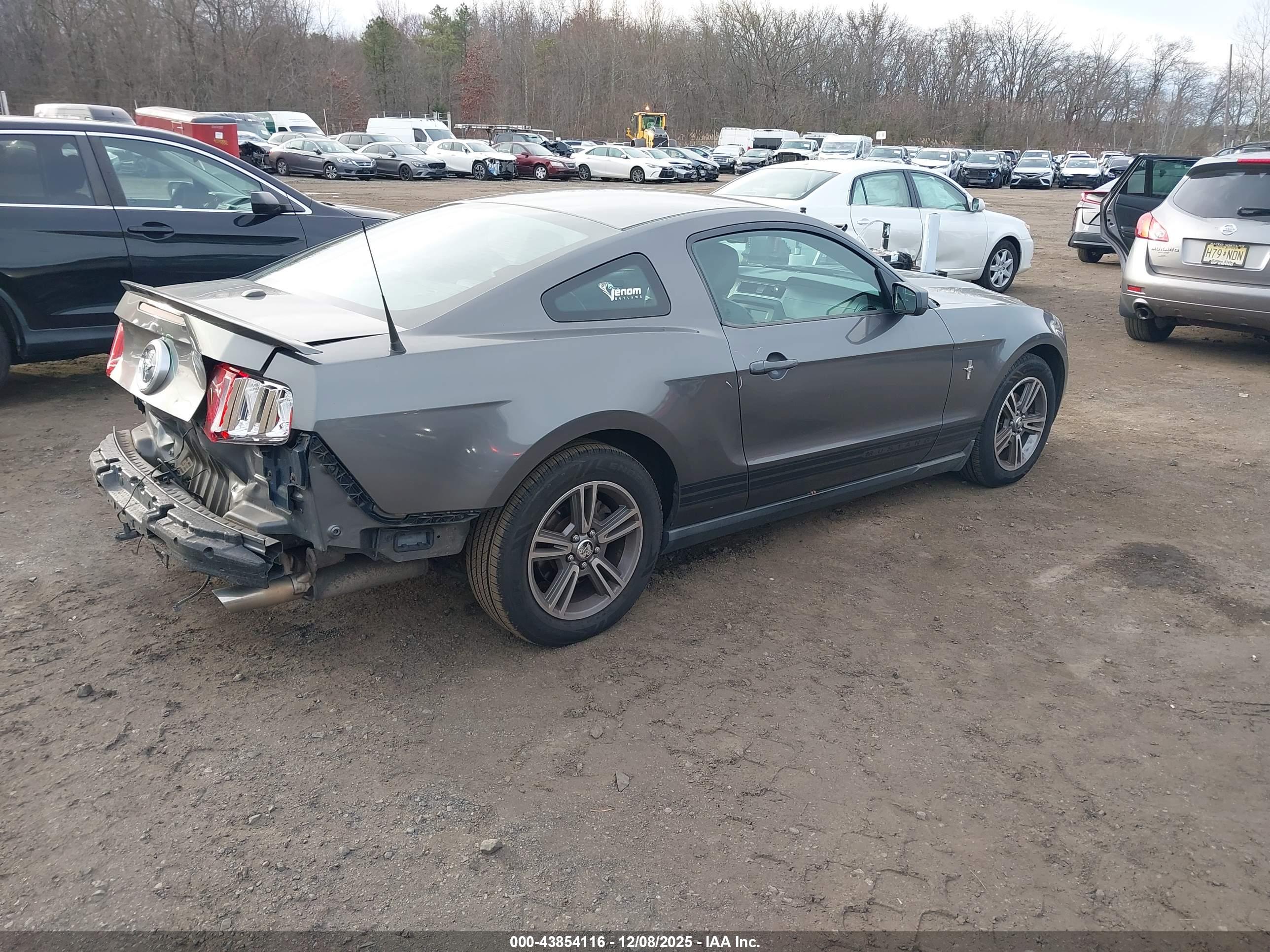 FORD MUSTANG image 4