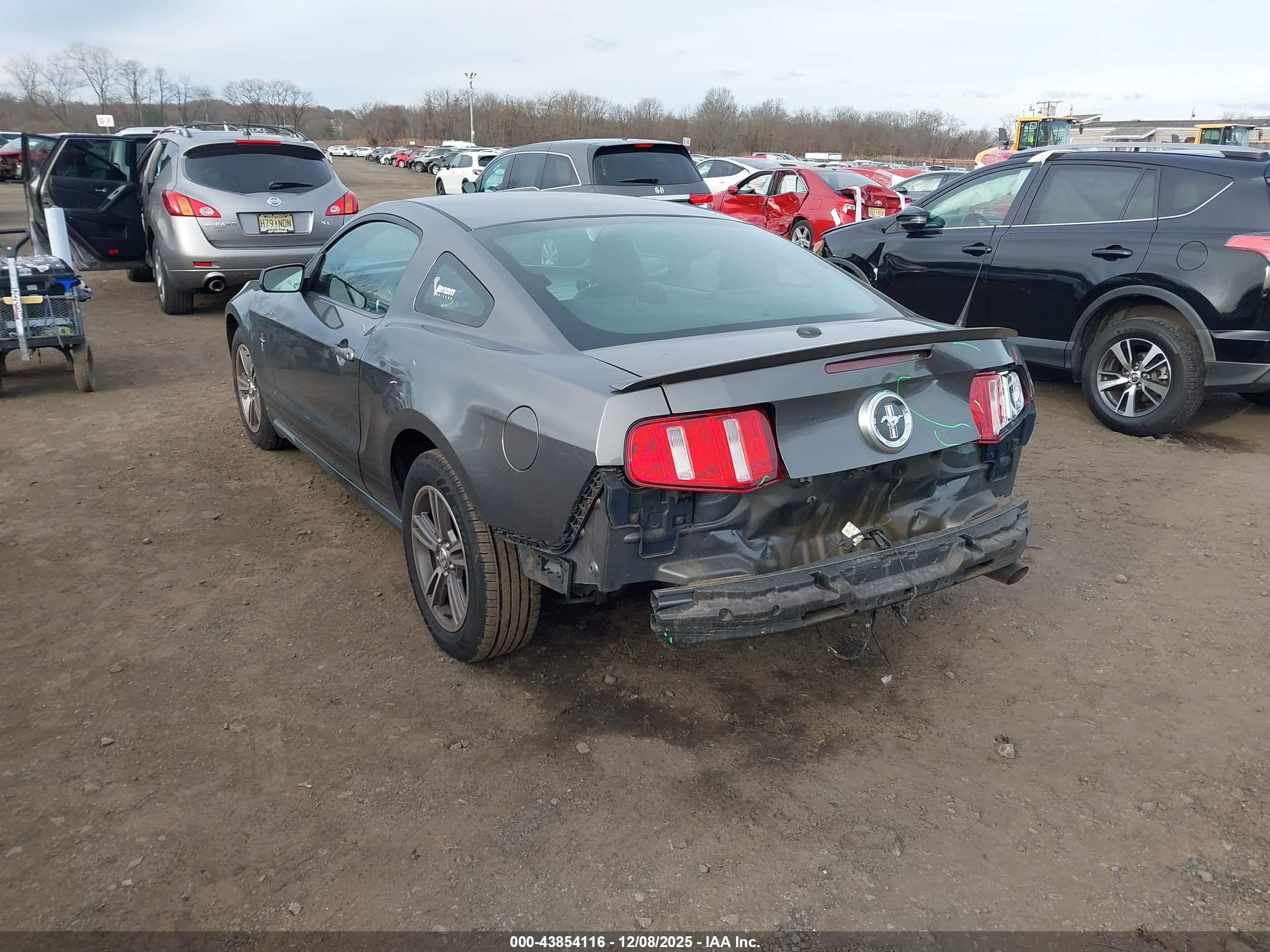 FORD MUSTANG image 6