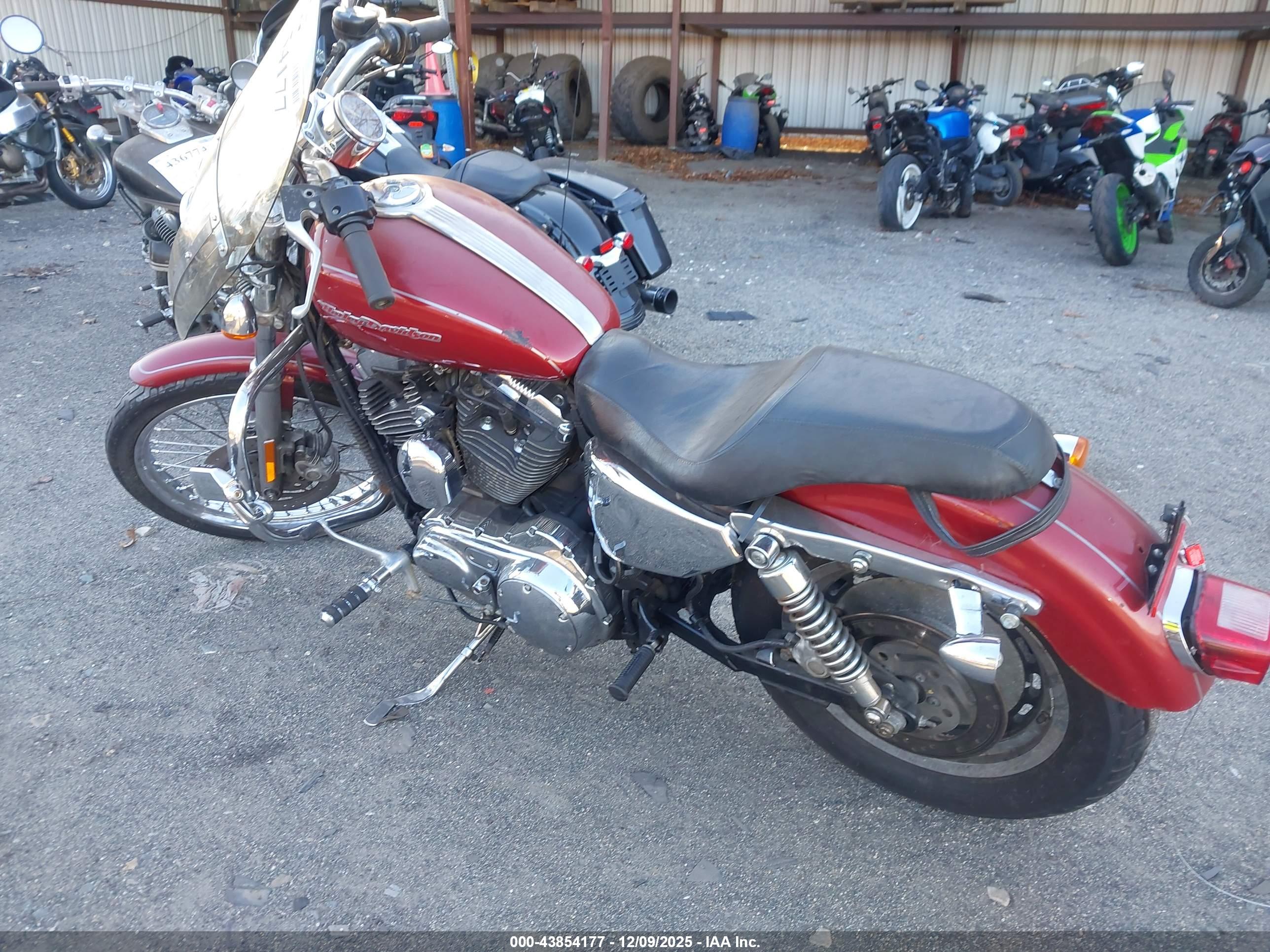 HARLEY-DAVIDSON XL1200 image 3