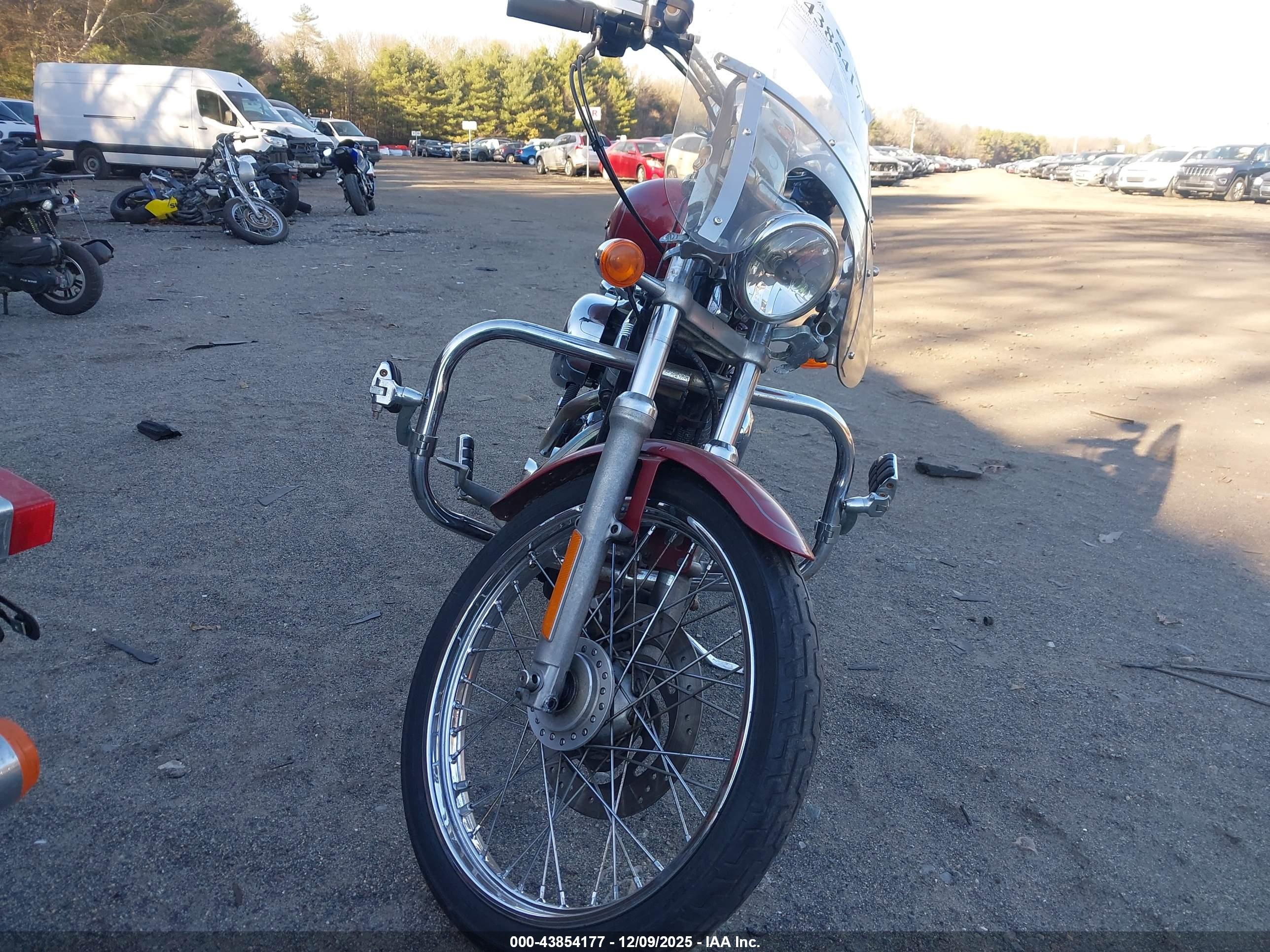 HARLEY-DAVIDSON XL1200 image 5