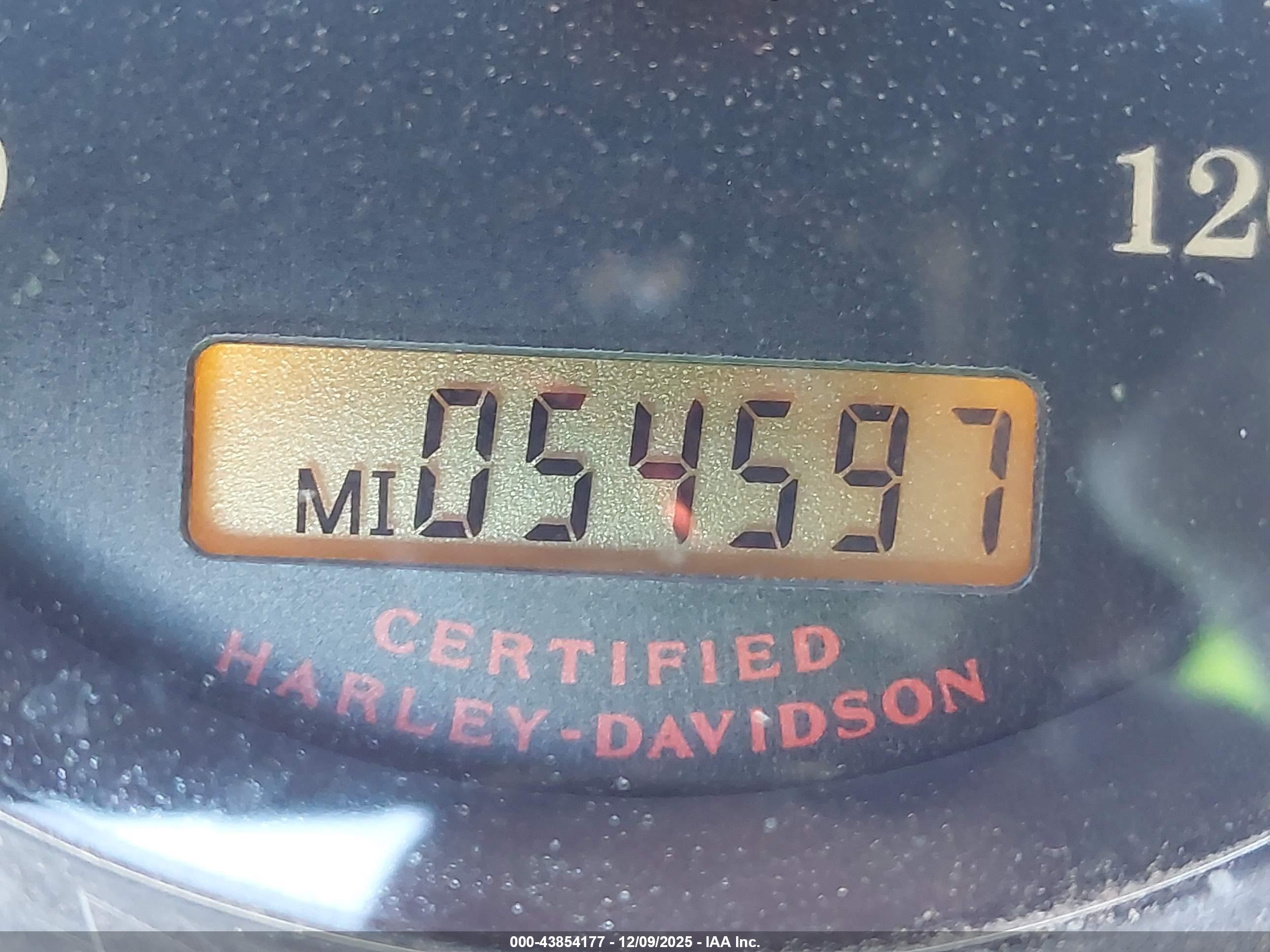 HARLEY-DAVIDSON XL1200 image 7