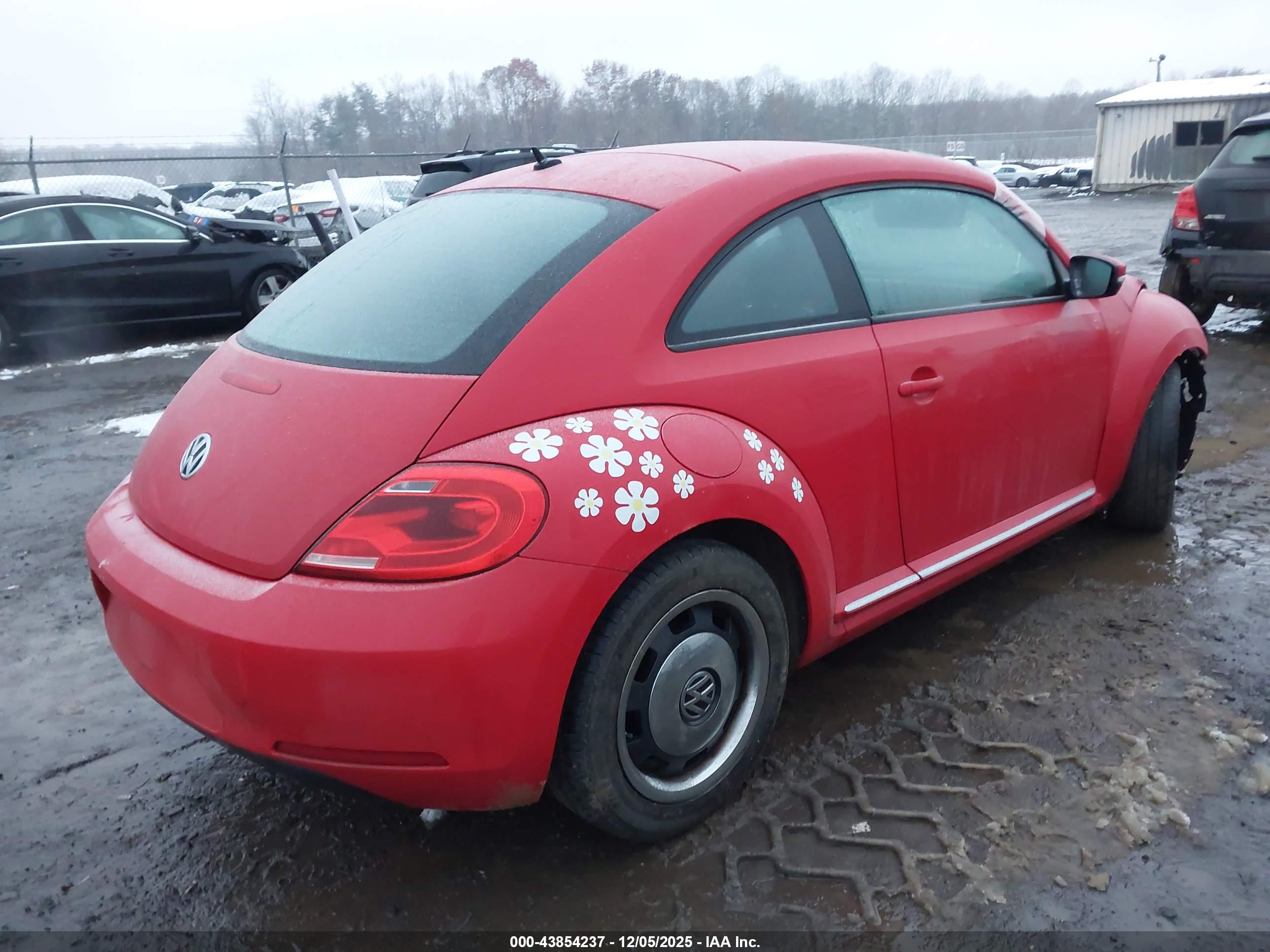 VOLKSWAGEN BEETLE image 4
