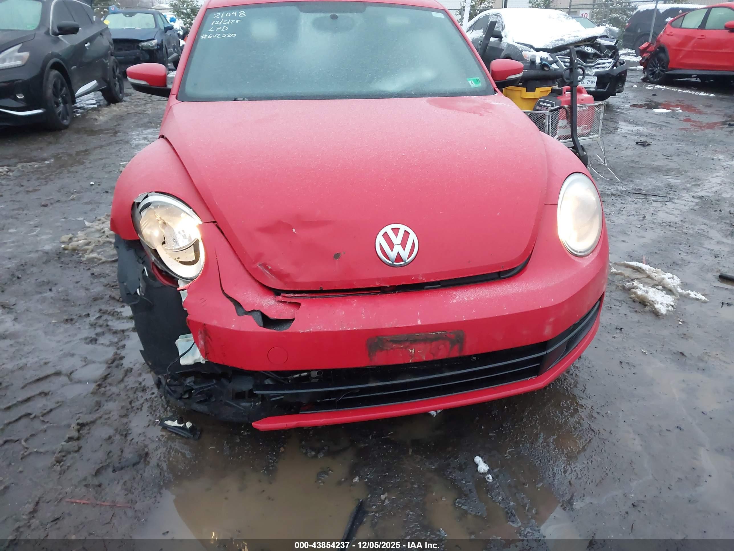 VOLKSWAGEN BEETLE image 6