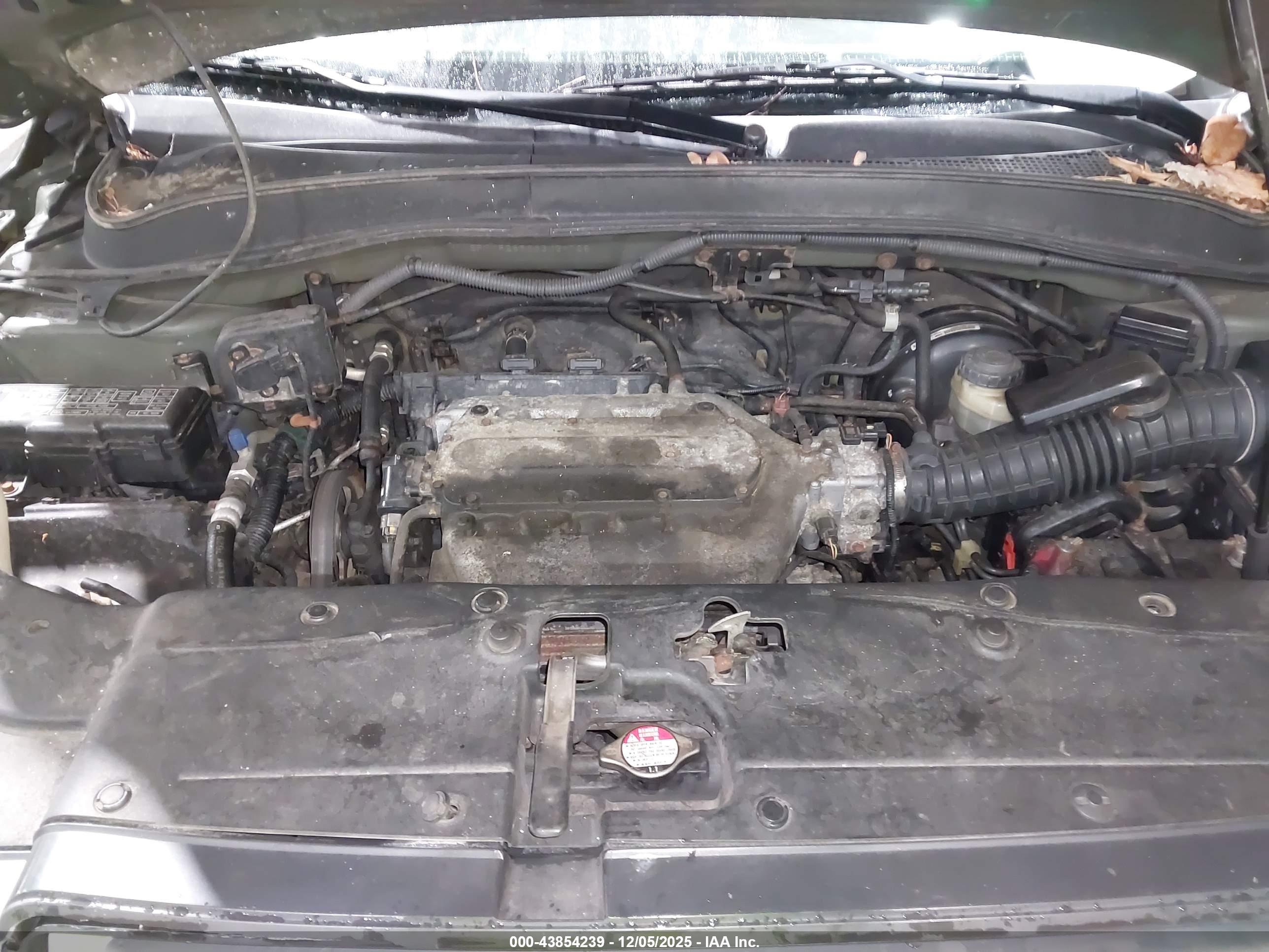 HONDA PILOT image 10