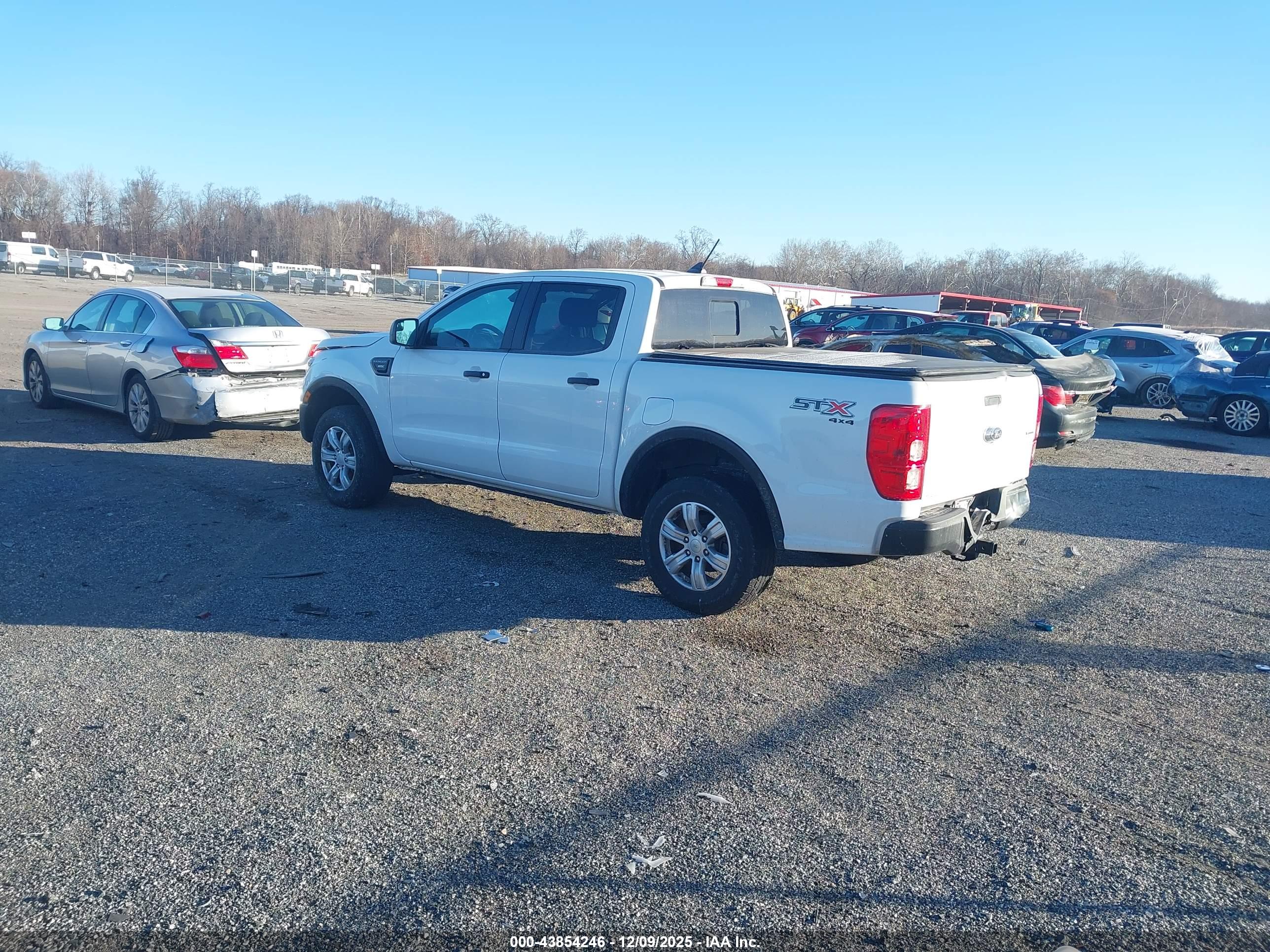 FORD RANGER image 3