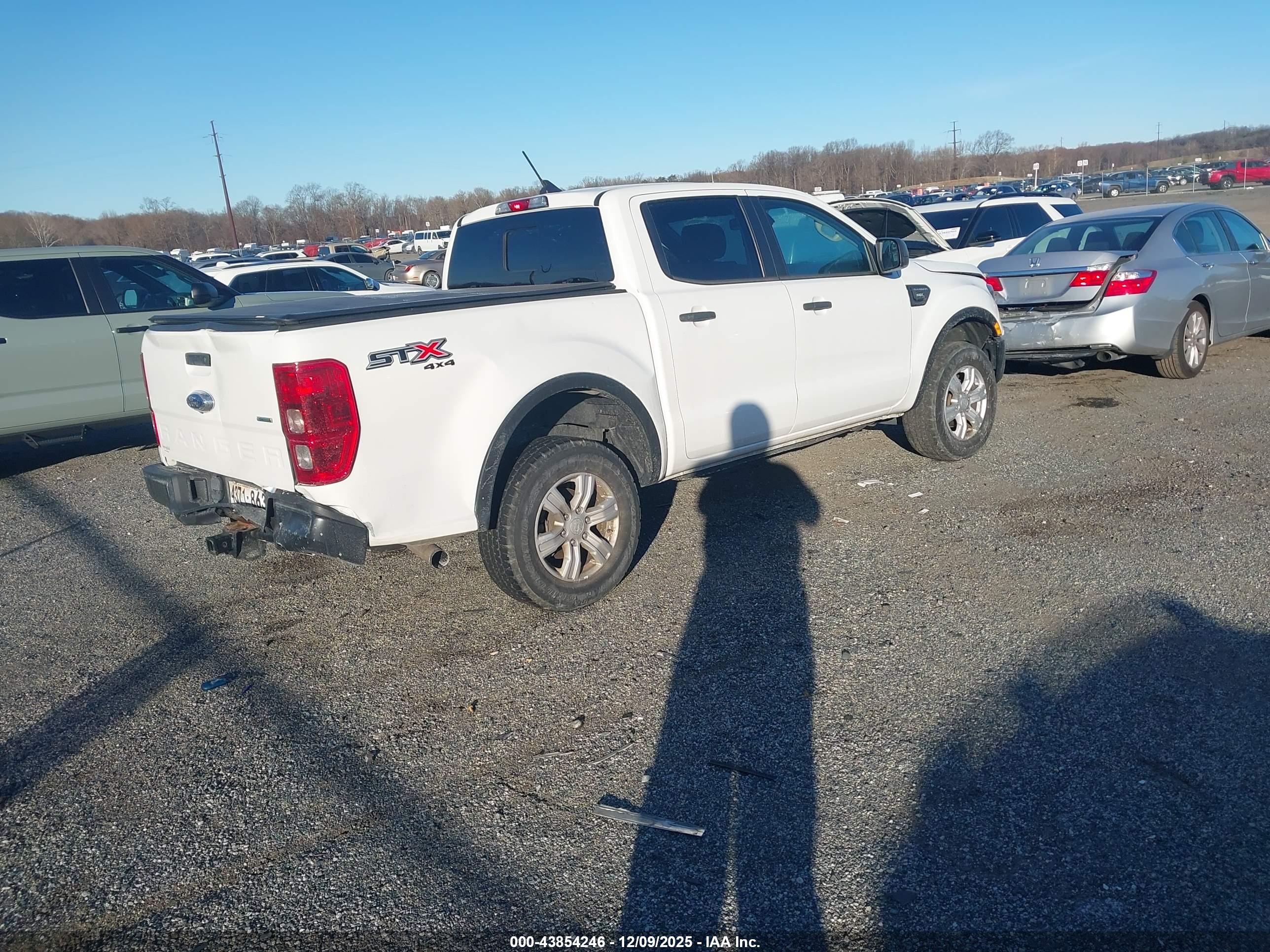 FORD RANGER image 4