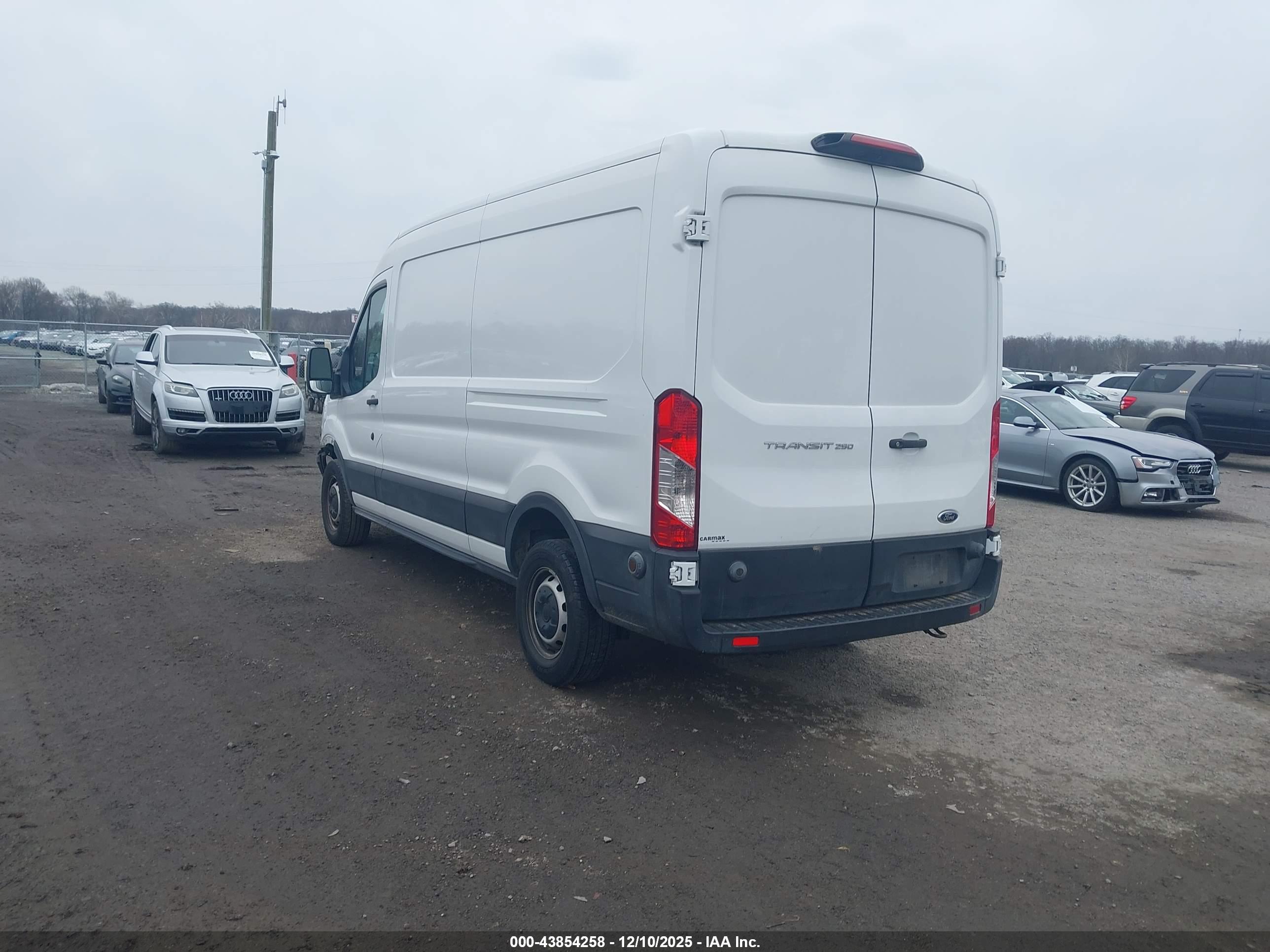 FORD TRANSIT-250 image 3
