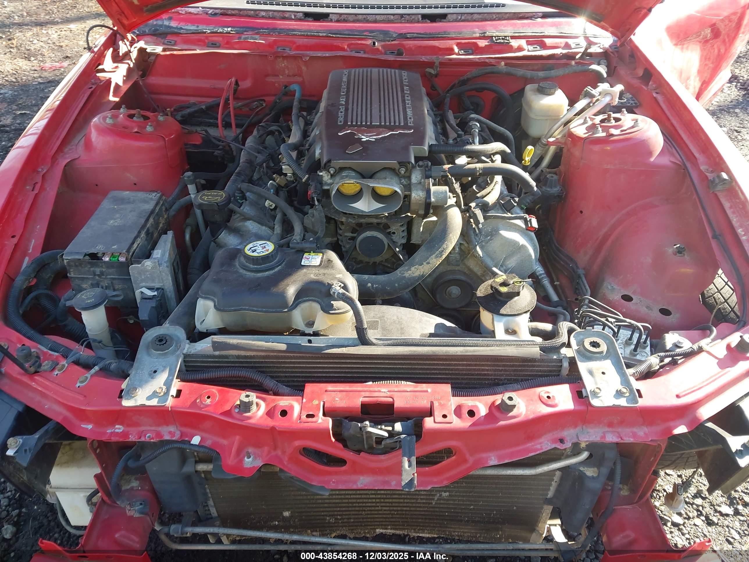 FORD MUSTANG image 10