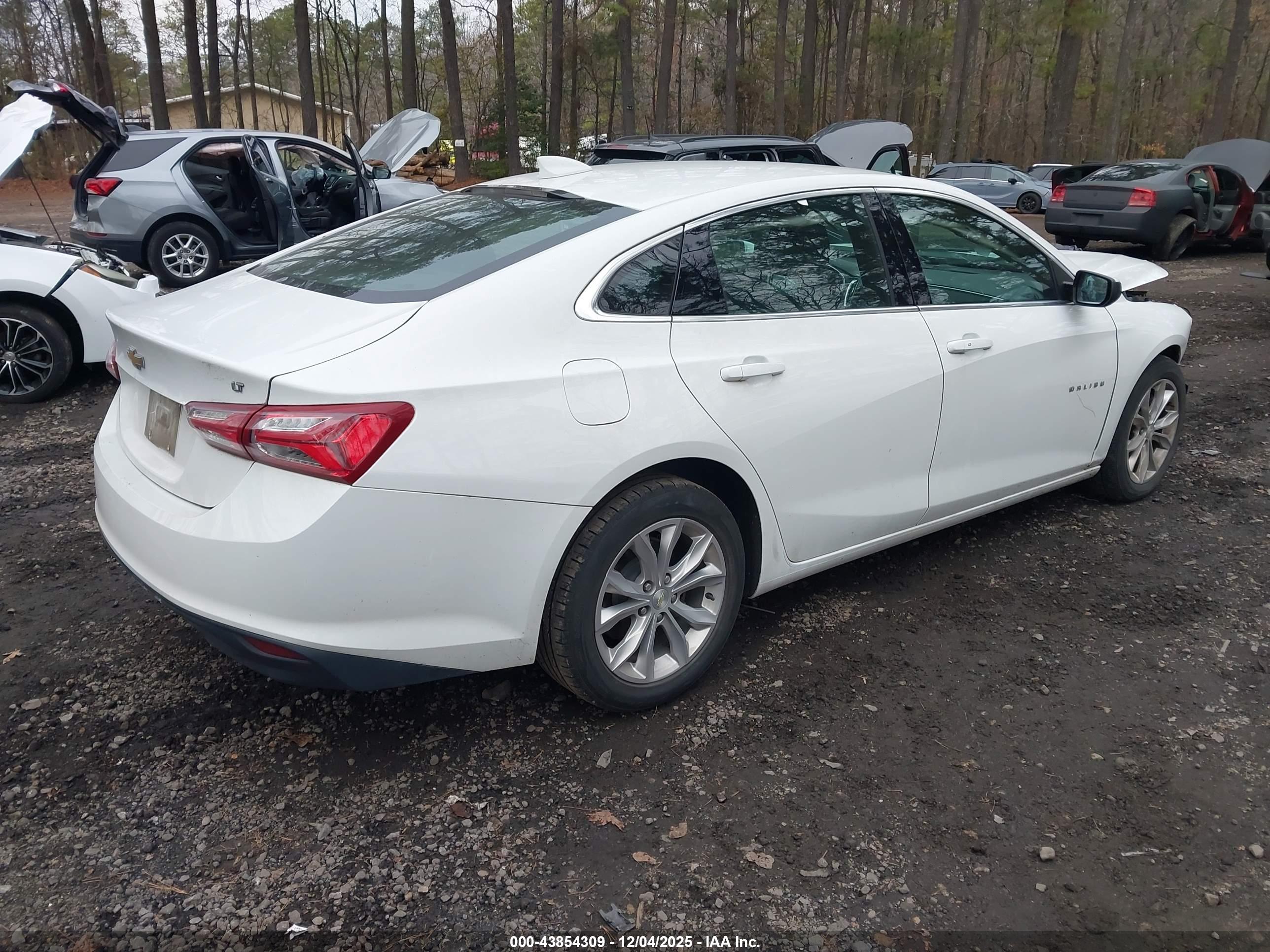 CHEVROLET MALIBU image 4