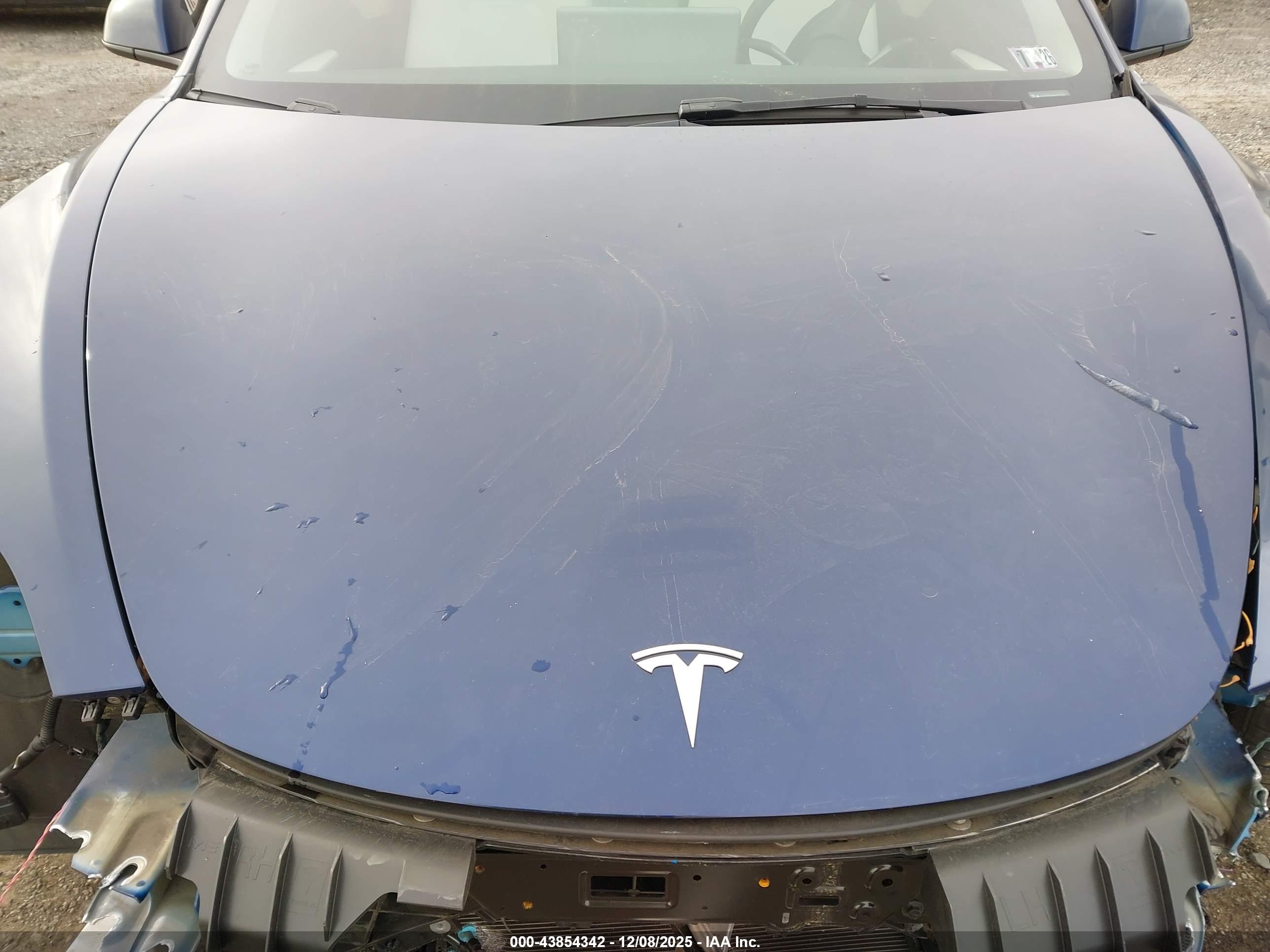 TESLA MODEL image 10