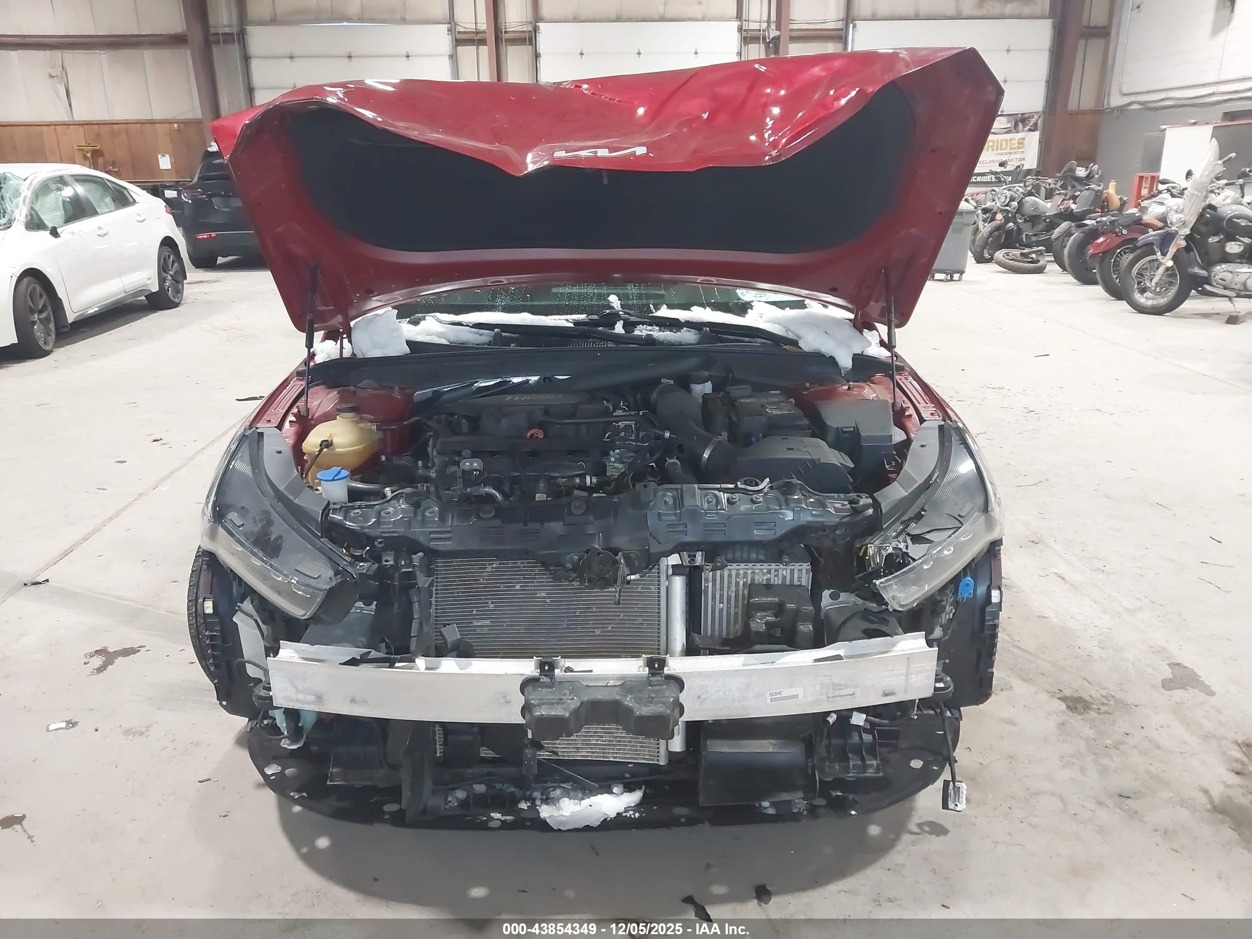 KIA K5 image 6