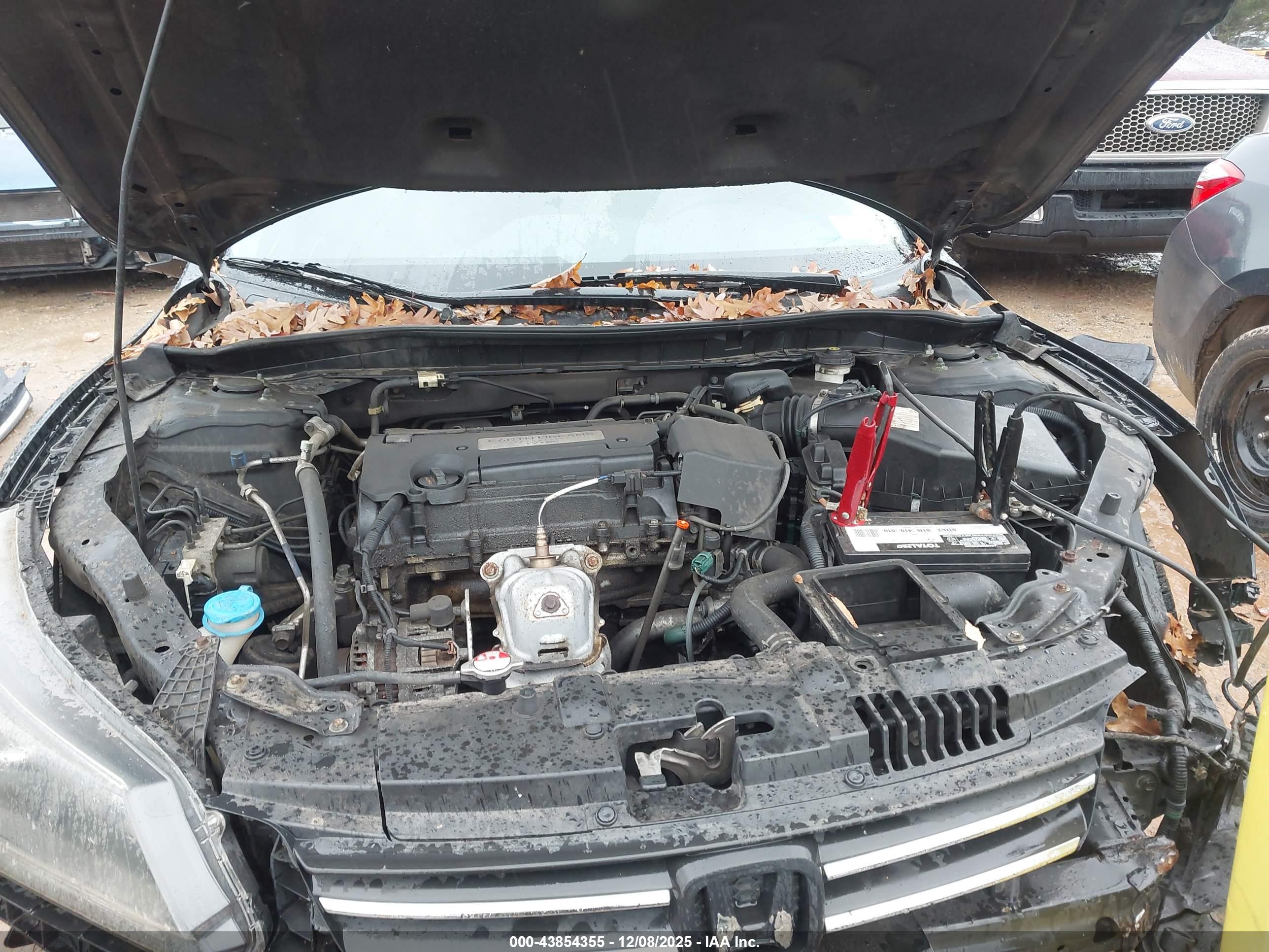 HONDA ACCORD image 10
