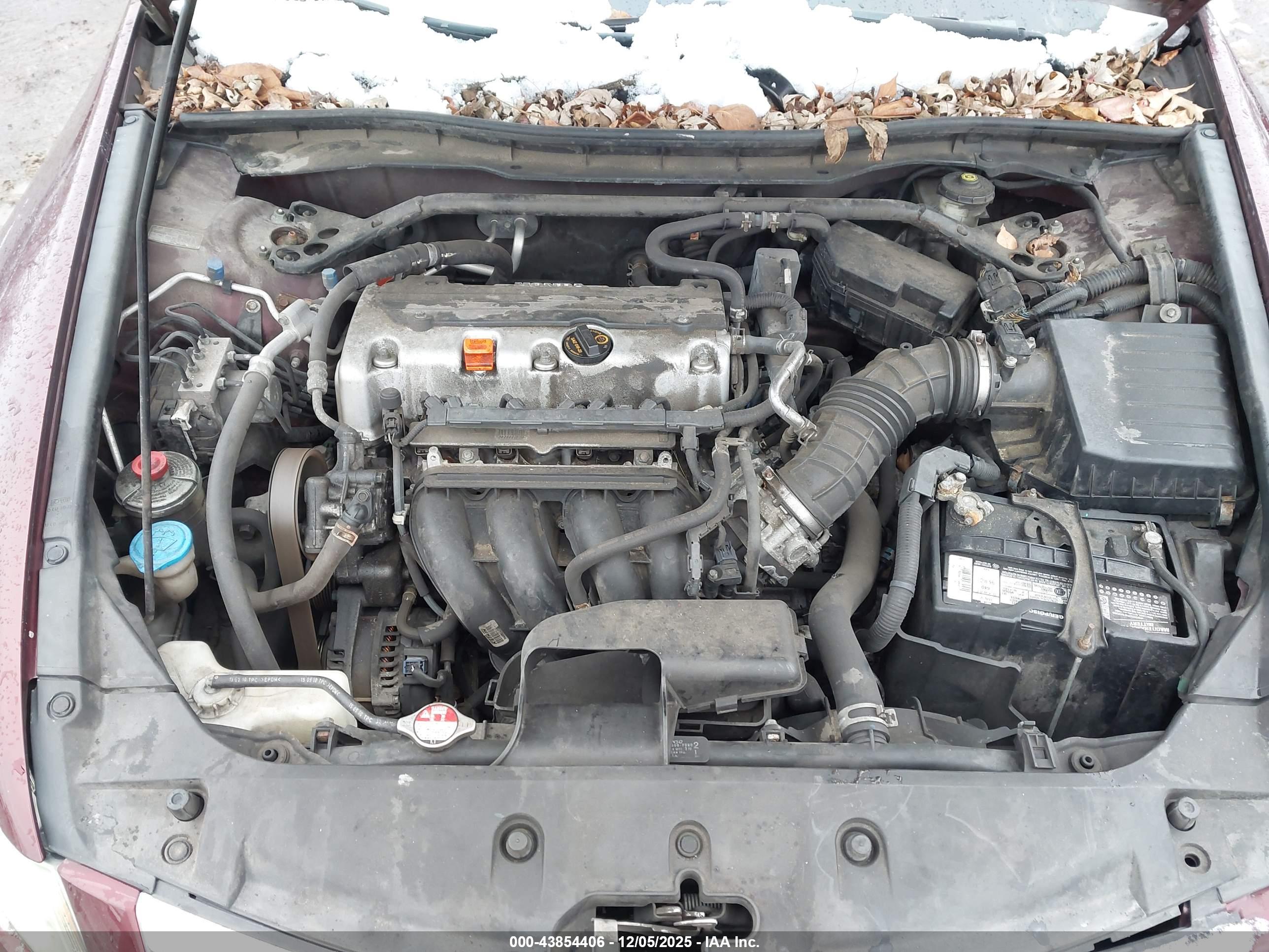 HONDA ACCORD image 10