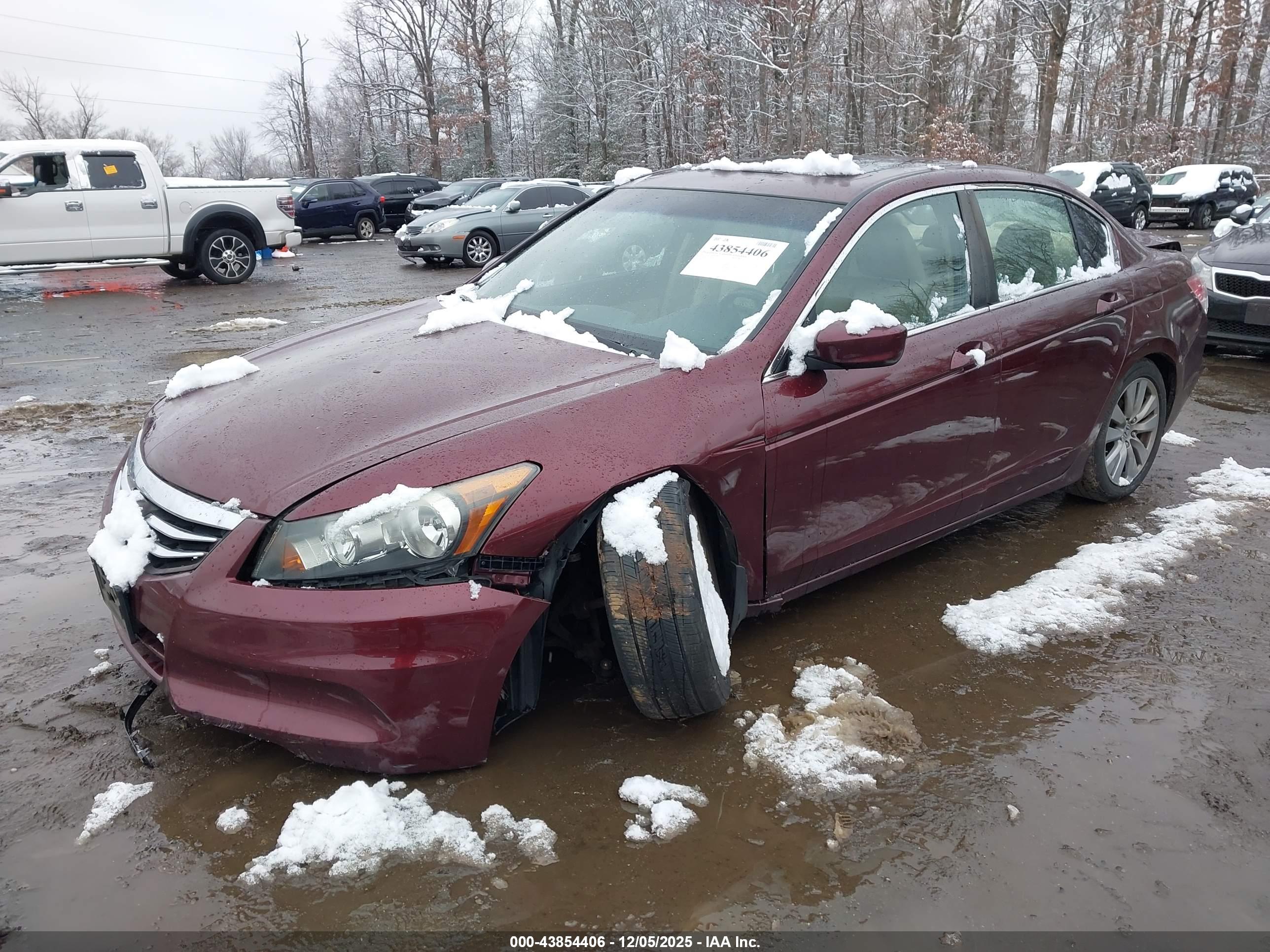 HONDA ACCORD image 2