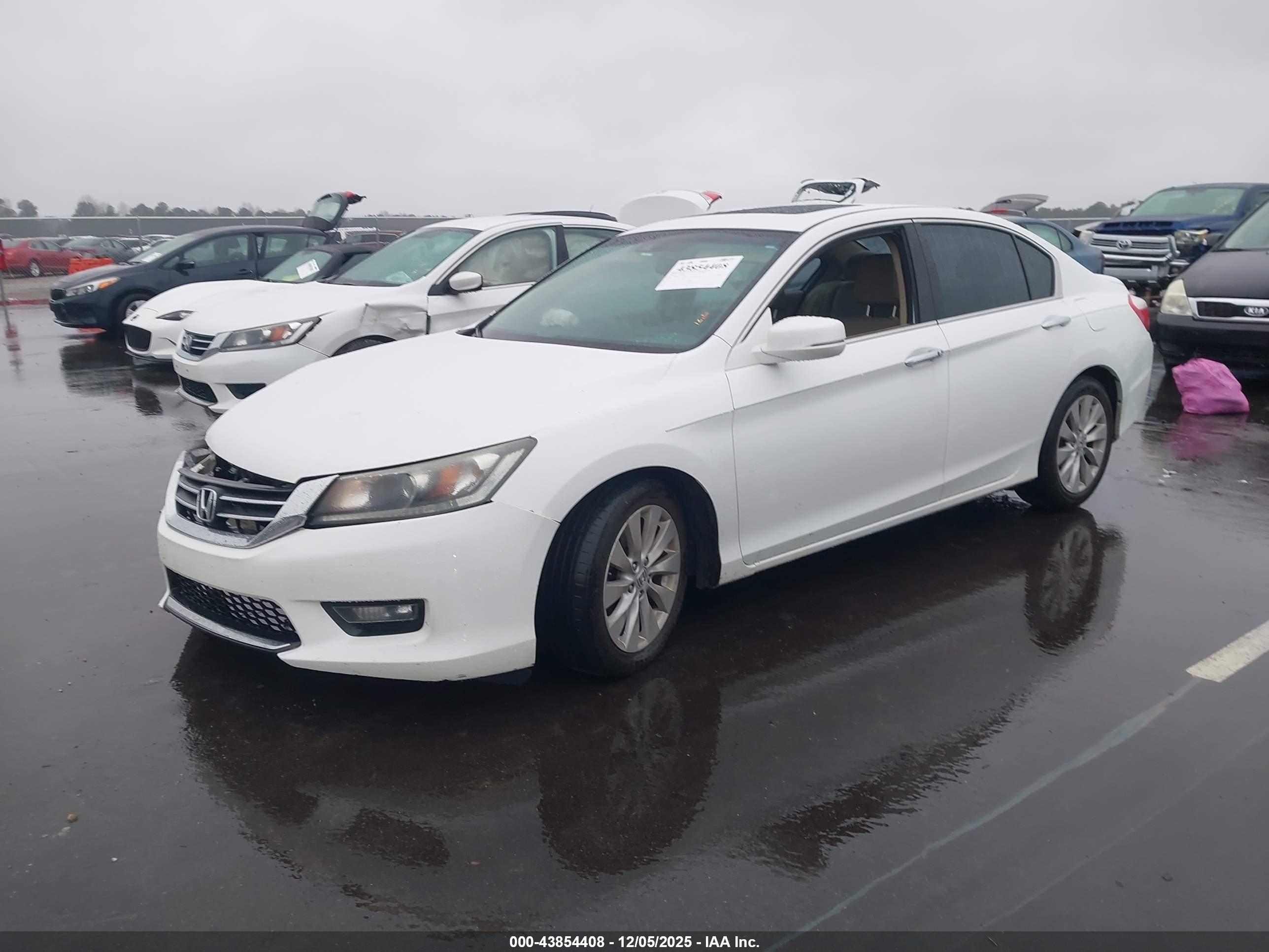 HONDA ACCORD image 2