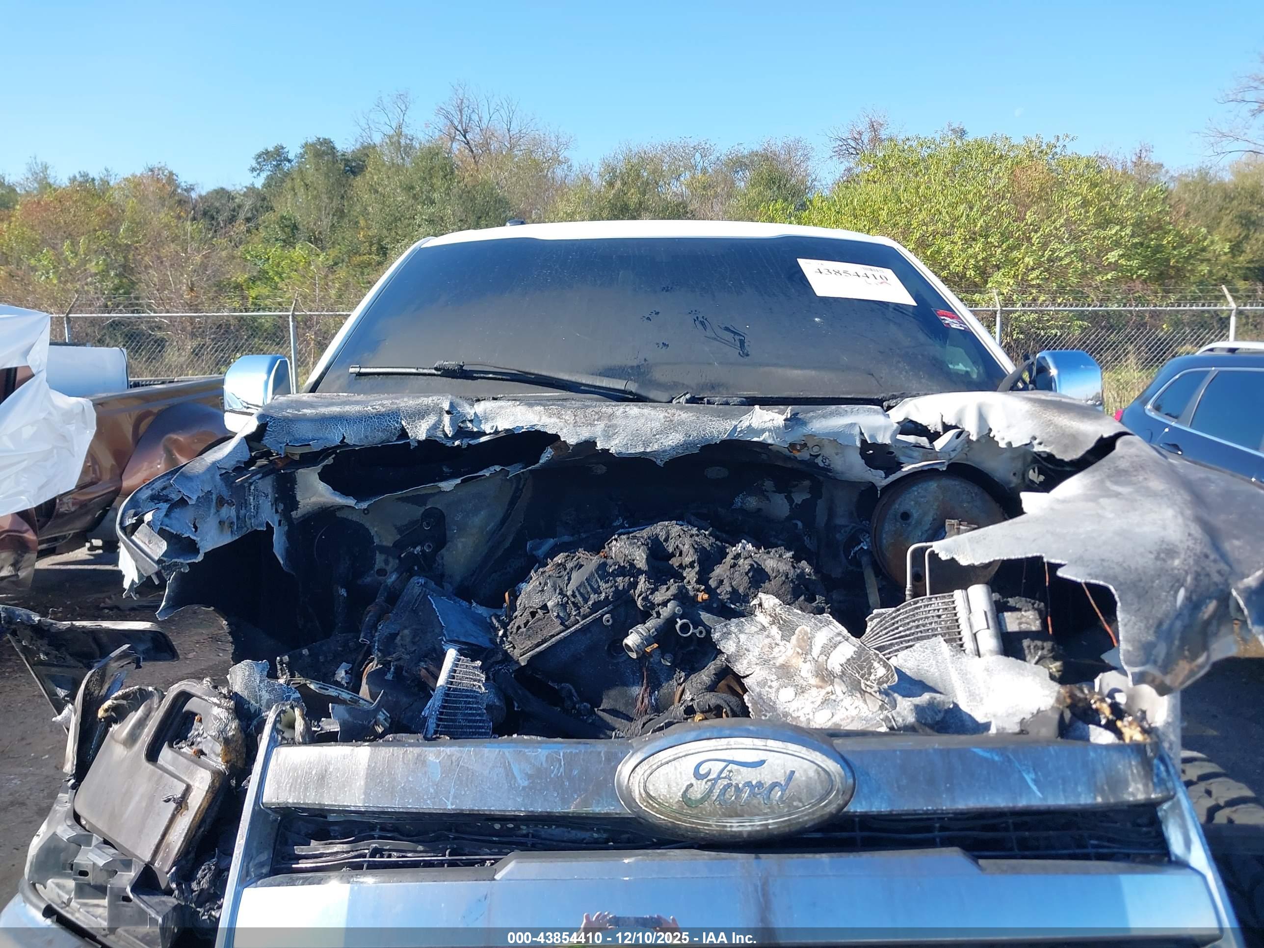 FORD F-150 image 10