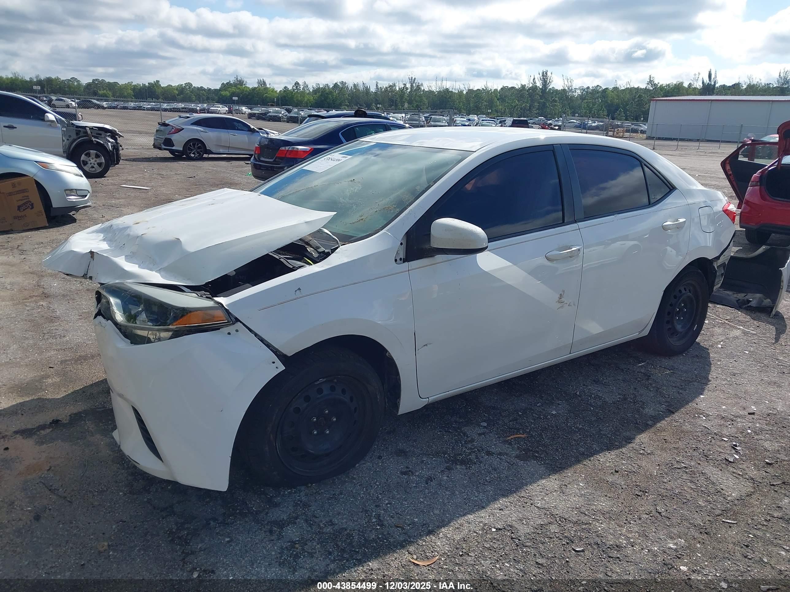 TOYOTA COROLLA image 2
