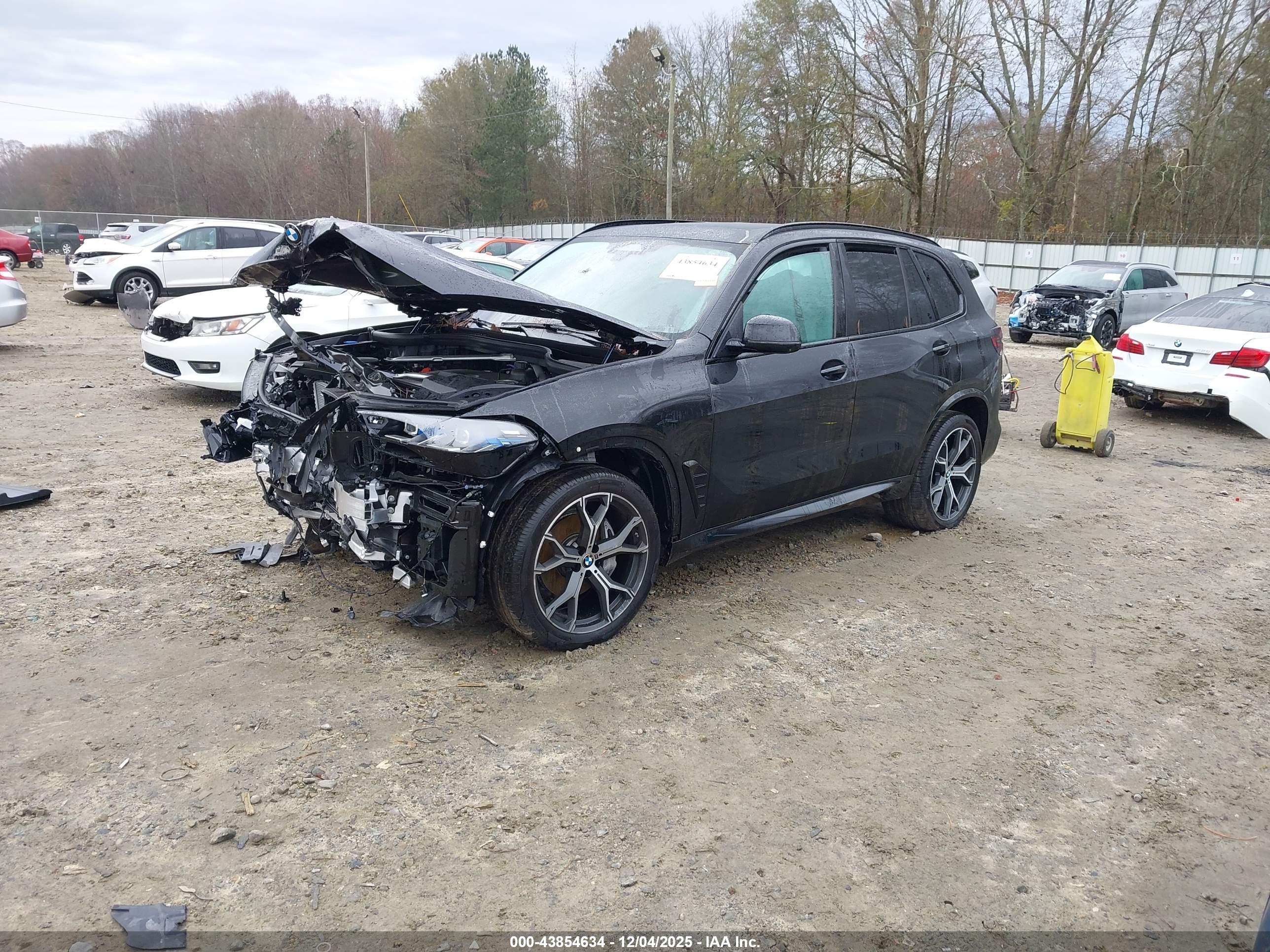 BMW X5 image 2