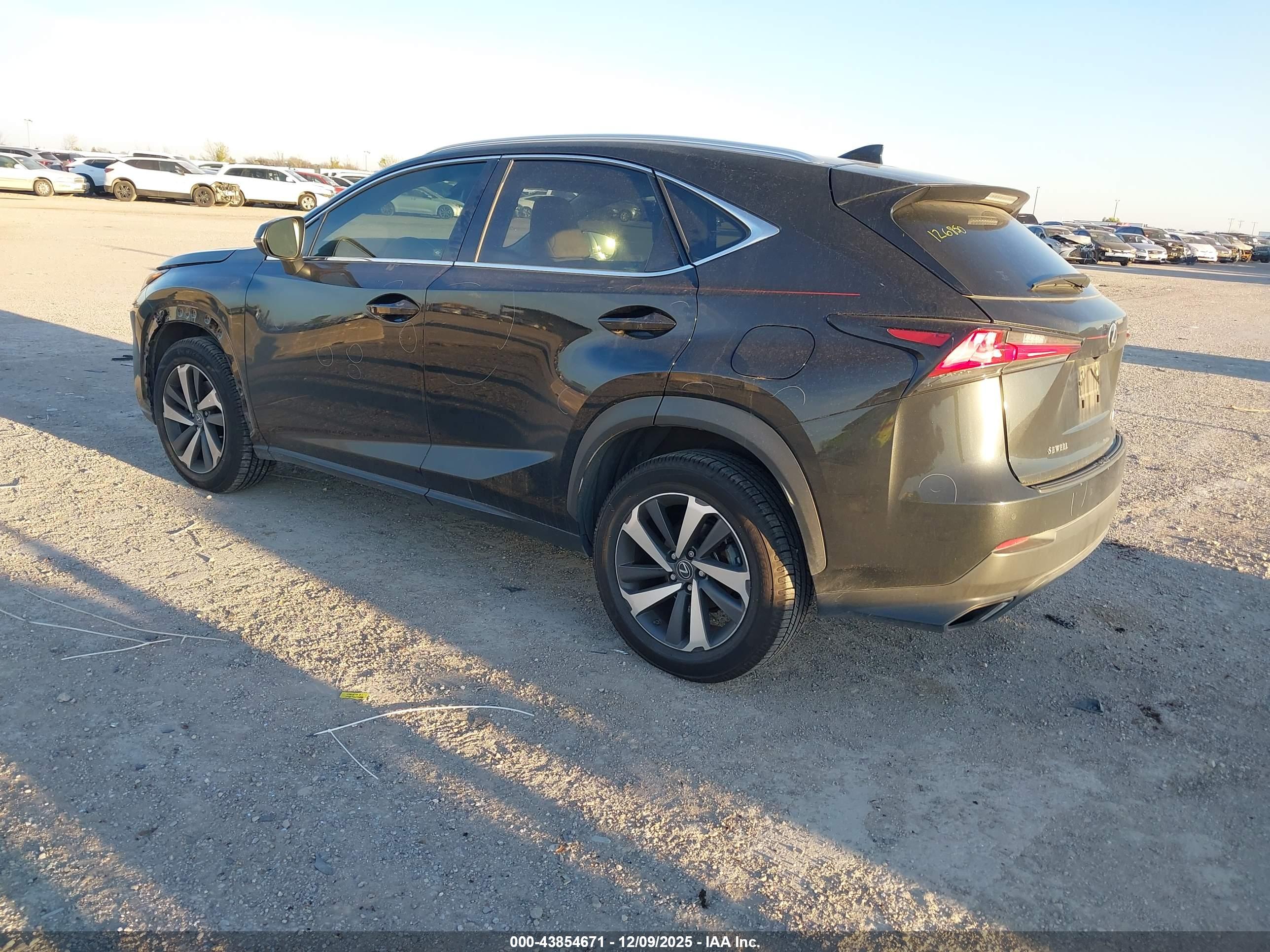 LEXUS NX image 3