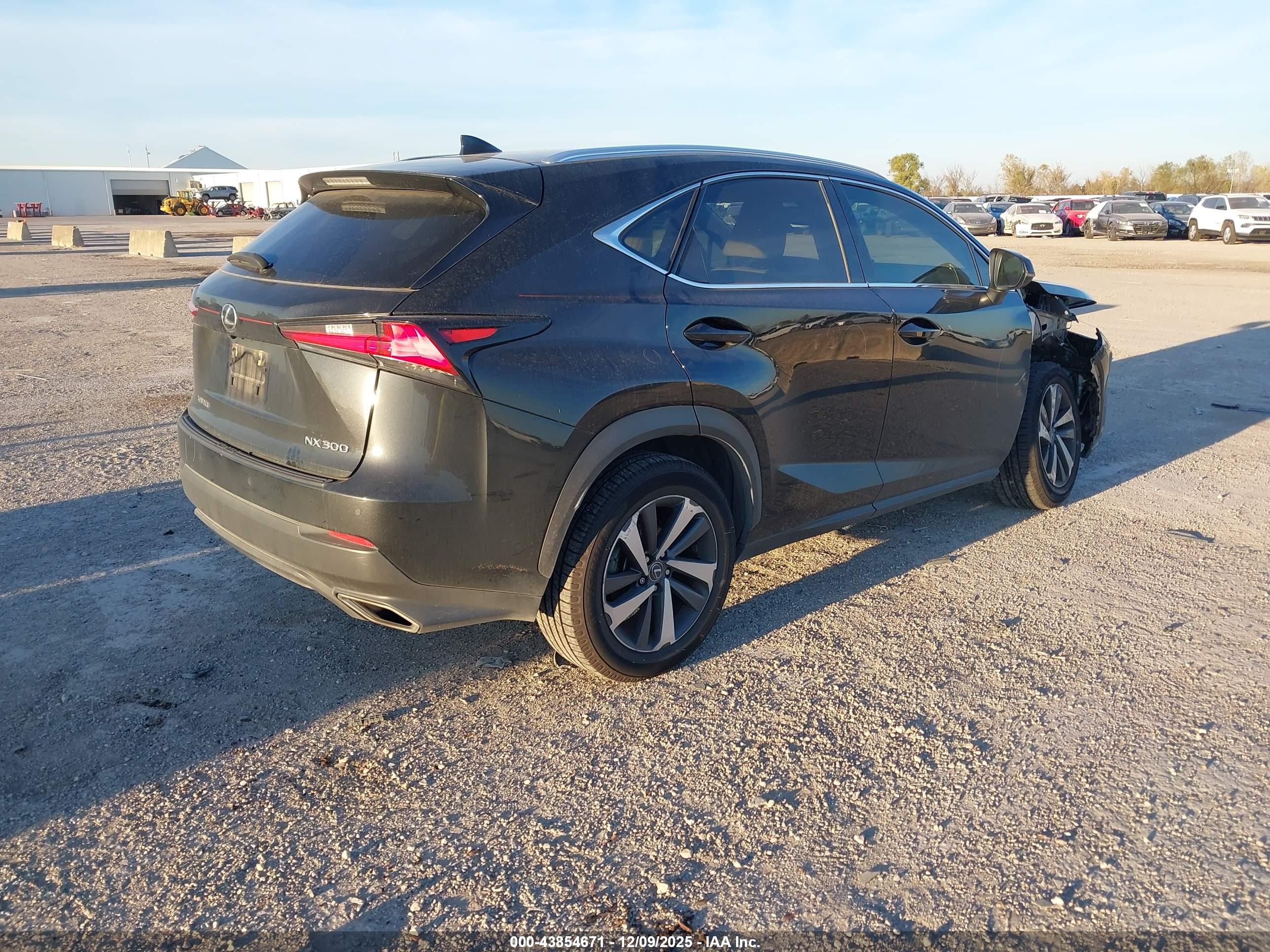 LEXUS NX image 4